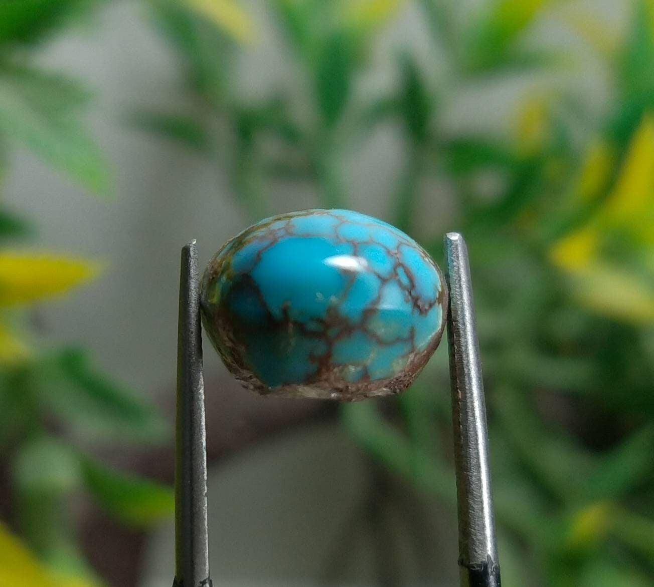 ARSAA GEMS AND MINERALSTop Quality and natural 11 carats beautiful spider web Egyptian turquoise cabochon - Premium from ARSAA GEMS AND MINERALS - Just $22.00! Shop now at ARSAA GEMS AND MINERALS