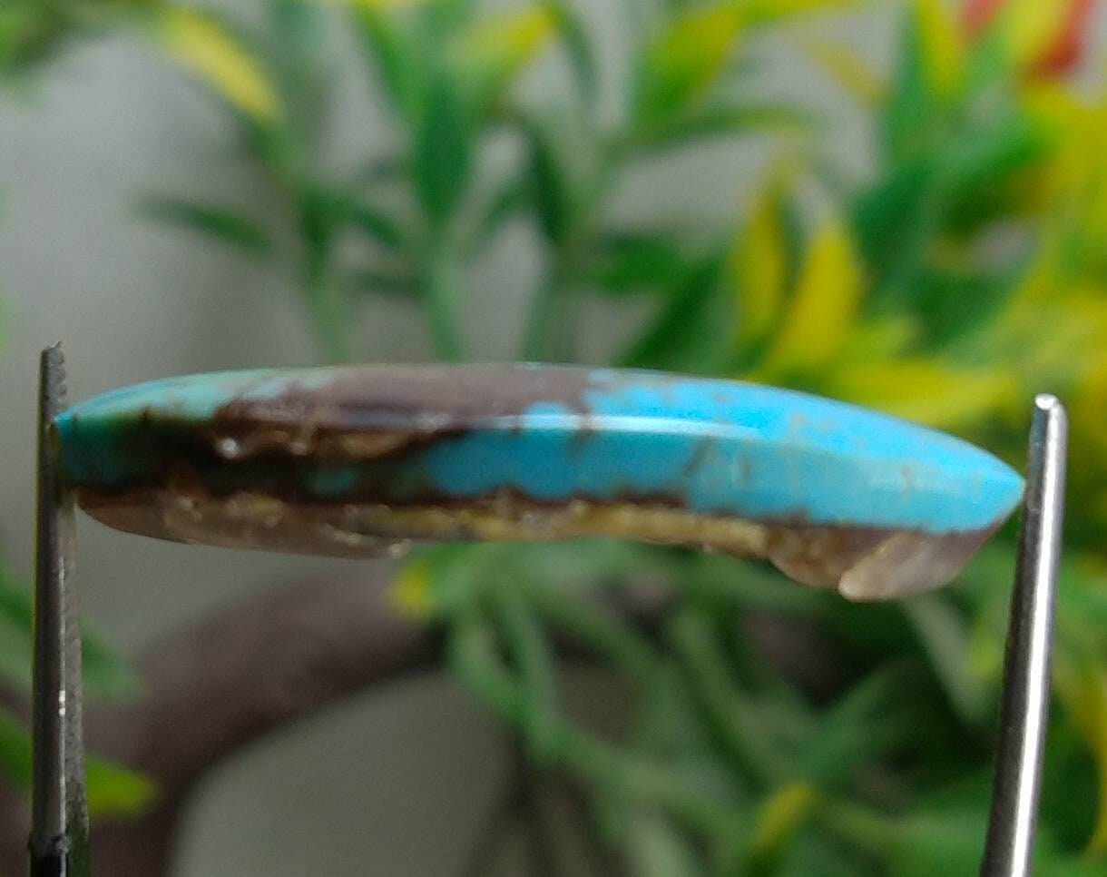 ARSAA GEMS AND MINERALSTop Quality and natural 19 carats beautiful Egyptian turquoise cabochon - Premium from ARSAA GEMS AND MINERALS - Just $25.00! Shop now at ARSAA GEMS AND MINERALS