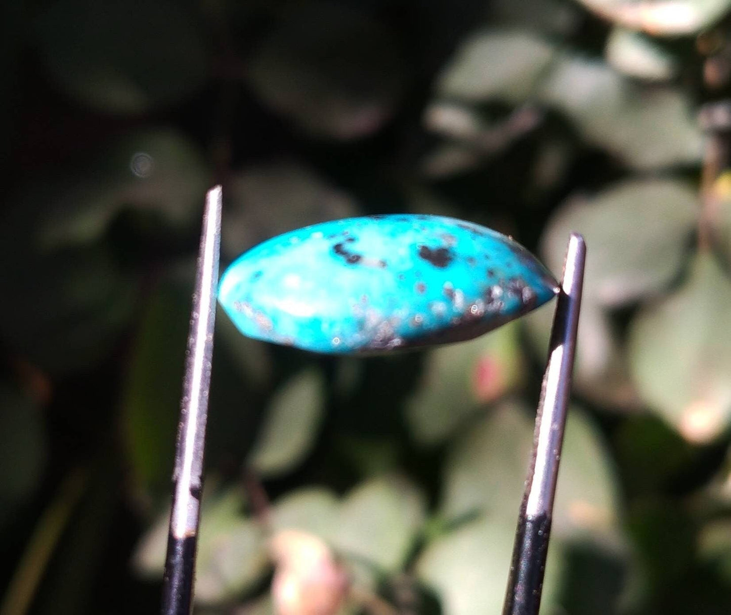 ARSAA GEMS AND MINERALSNatural fine quality beautiful 9 carats oval shape turquoise with pyrite cabochon - Premium from ARSAA GEMS AND MINERALS - Just $18.00! Shop now at ARSAA GEMS AND MINERALS