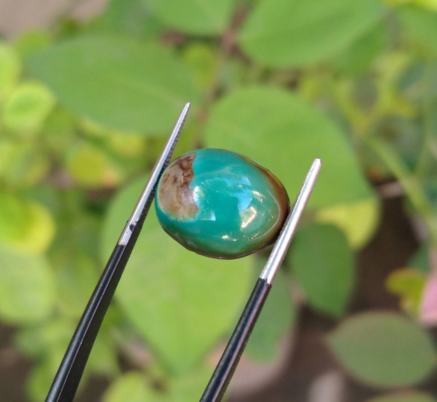 ARSAA GEMS AND MINERALSNatural fine quality beautiful 13 carats oval shape untreated unheated green turquoise cabochon - Premium from ARSAA GEMS AND MINERALS - Just $15.00! Shop now at ARSAA GEMS AND MINERALS