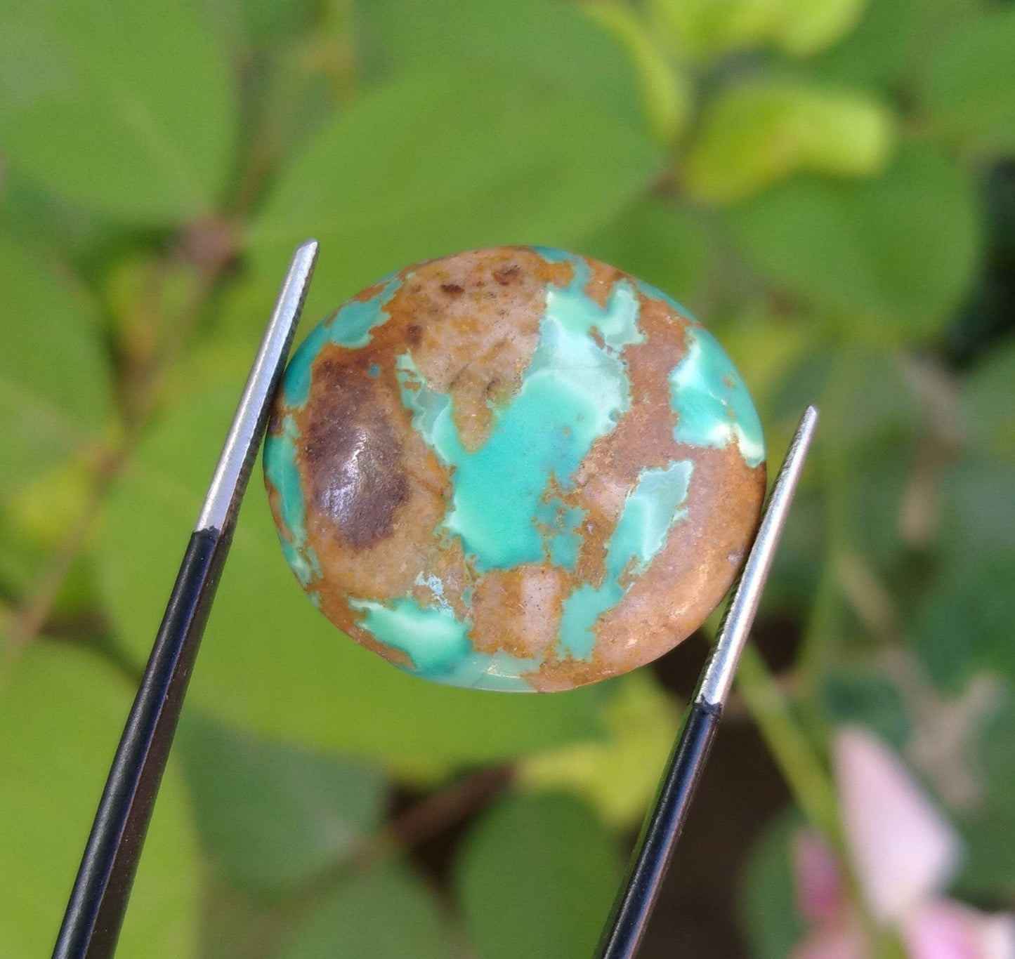 ARSAA GEMS AND MINERALSNatural fine quality beautiful 26 carats round shape untreated unheated green turquoise cabochon - Premium from ARSAA GEMS AND MINERALS - Just $26.00! Shop now at ARSAA GEMS AND MINERALS