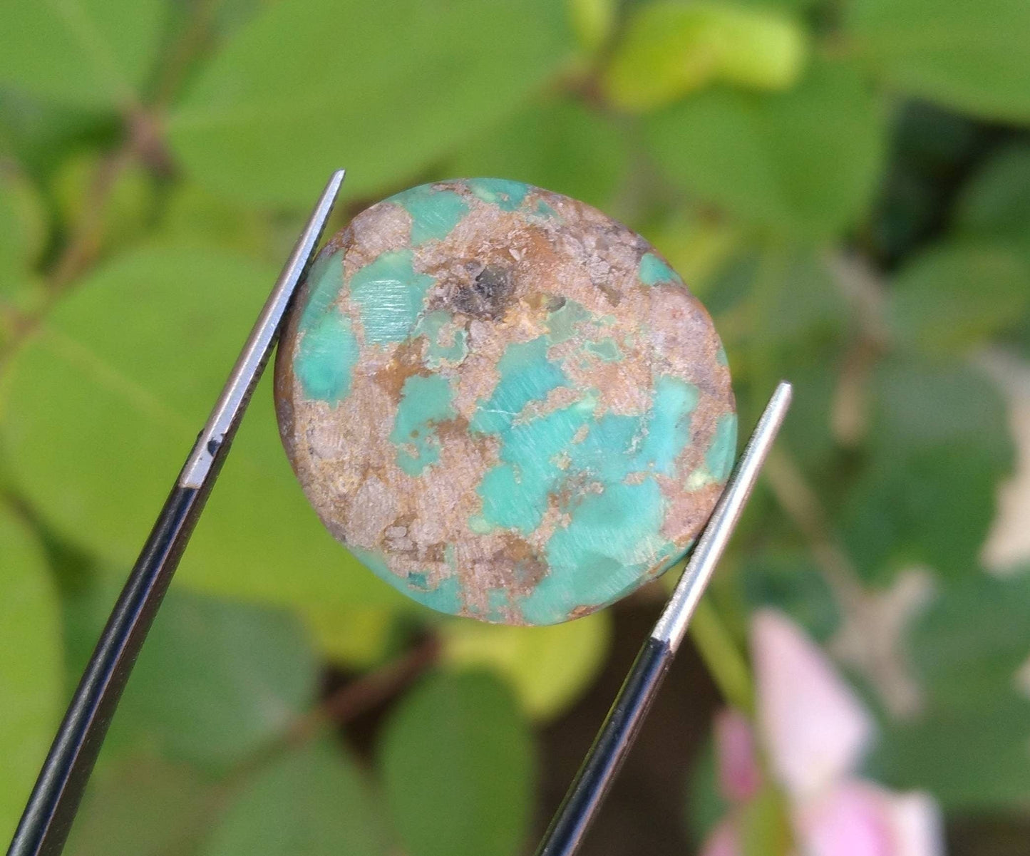 ARSAA GEMS AND MINERALSNatural fine quality beautiful 26 carats round shape untreated unheated green turquoise cabochon - Premium from ARSAA GEMS AND MINERALS - Just $26.00! Shop now at ARSAA GEMS AND MINERALS