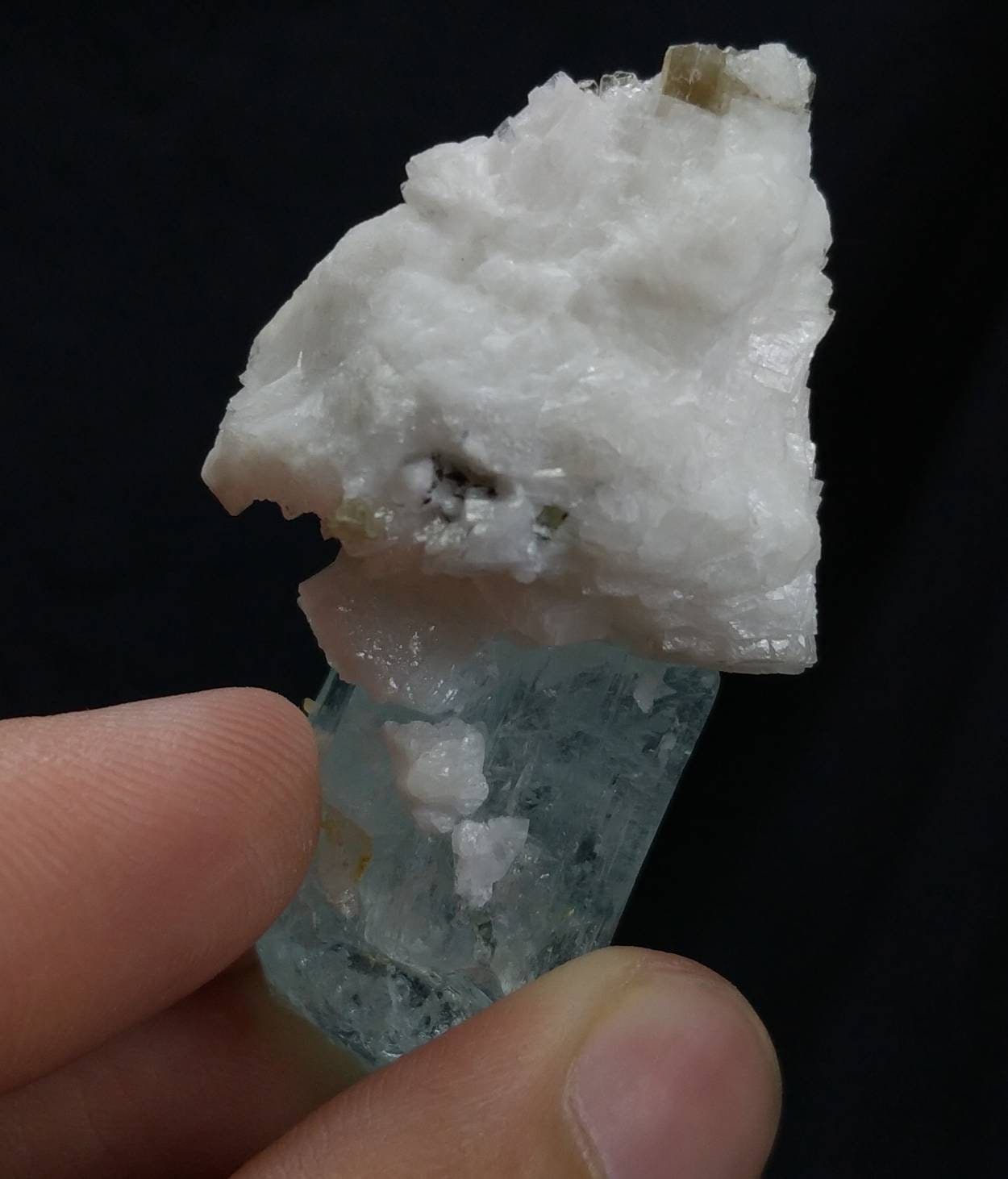 ARSAA GEMS AND MINERALSTop Quality beautiful natural 28.9 grams very rare terminated Aquamarine crystal with albite and moscovite on top of Crystal - Premium from ARSAA GEMS AND MINERALS - Just $100.00! Shop now at ARSAA GEMS AND MINERALS