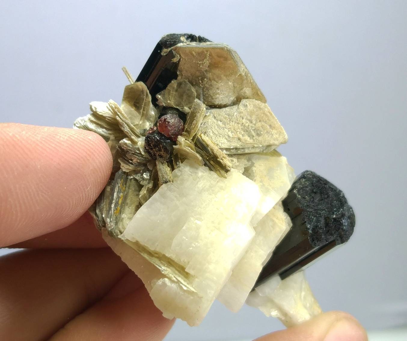 ARSAA GEMS AND MINERALSTop Quality beautiful natural 43.5 grams terminated cluster of black tourmaline with spessartine garnet Albite and muscovite mica - Premium from ARSAA GEMS AND MINERALS - Just $60.00! Shop now at ARSAA GEMS AND MINERALS