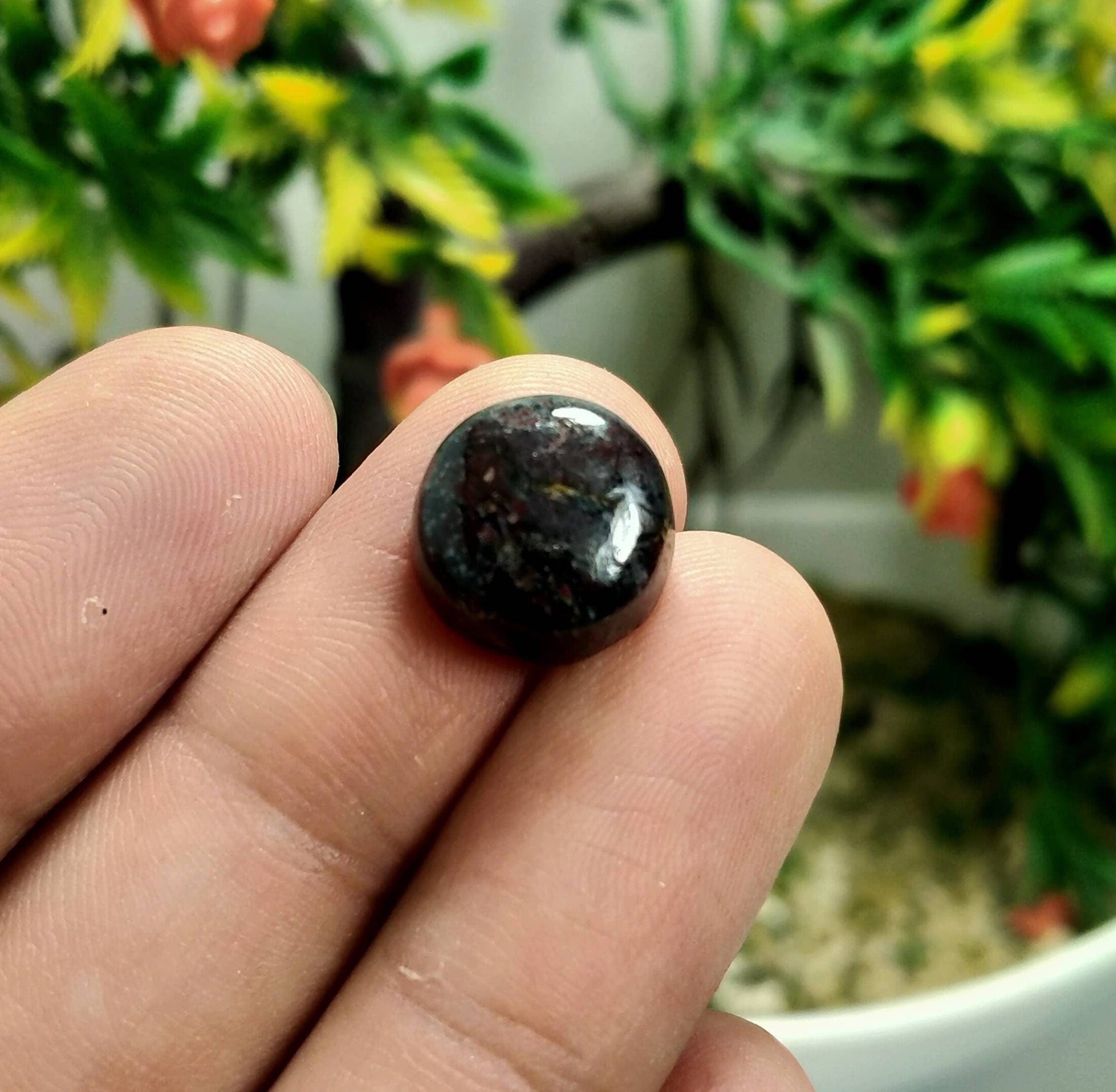 ARSAA GEMS AND MINERALSNatural fine quality beautiful 19 carats pair of red jasper cabochons - Premium  from ARSAA GEMS AND MINERALS - Just $9.00! Shop now at ARSAA GEMS AND MINERALS