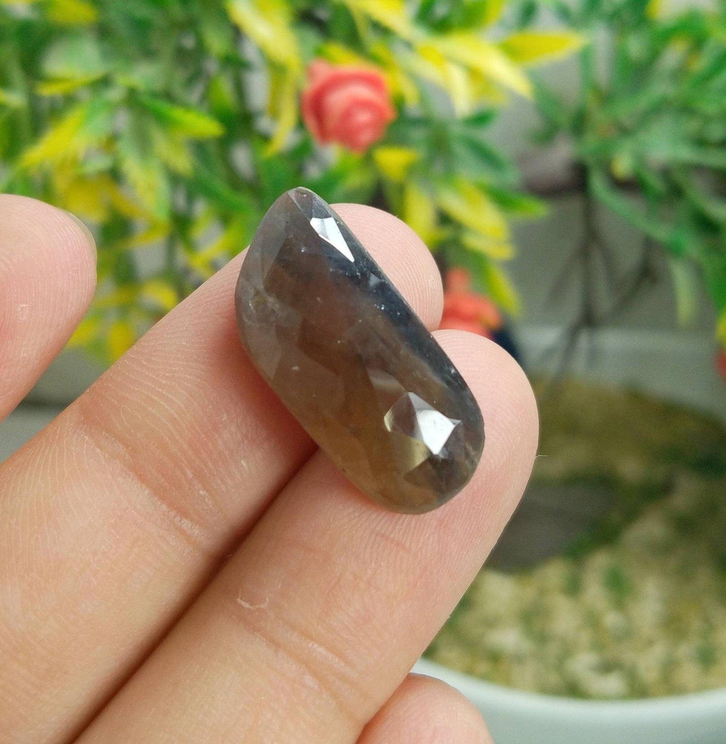 ARSAA GEMS AND MINERALSNatural fine quality beautiful 64 carats rose/cut faceted sapphire cabochons - Premium from ARSAA GEMS AND MINERALS - Just $40.00! Shop now at ARSAA GEMS AND MINERALS