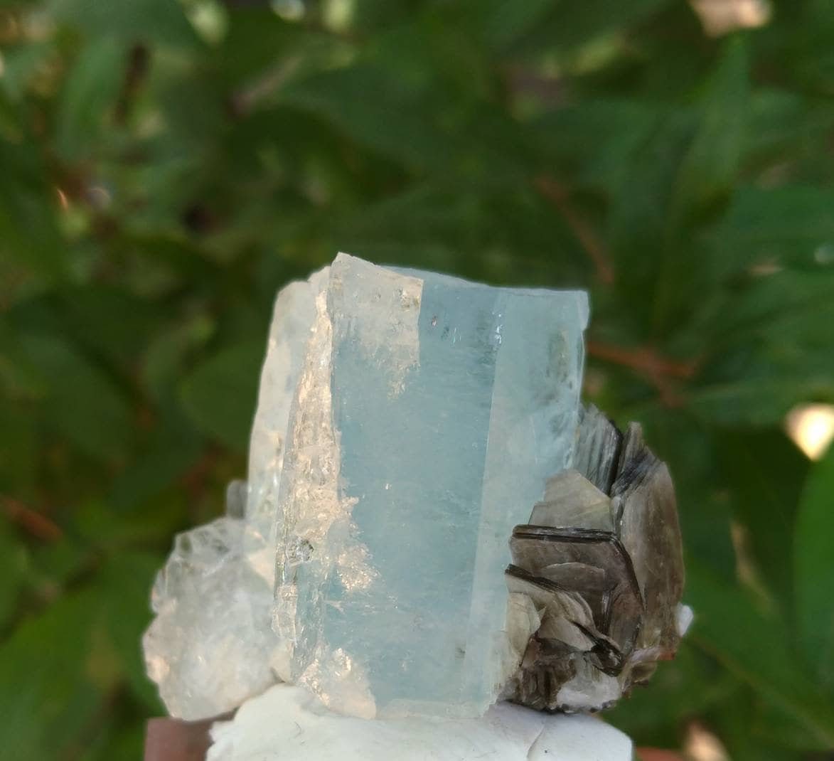 ARSAA GEMS AND MINERALSNatural top quality beautiful 55 grams blue aquamarine with moscovite crystal - Premium  from ARSAA GEMS AND MINERALS - Just $100.00! Shop now at ARSAA GEMS AND MINERALS