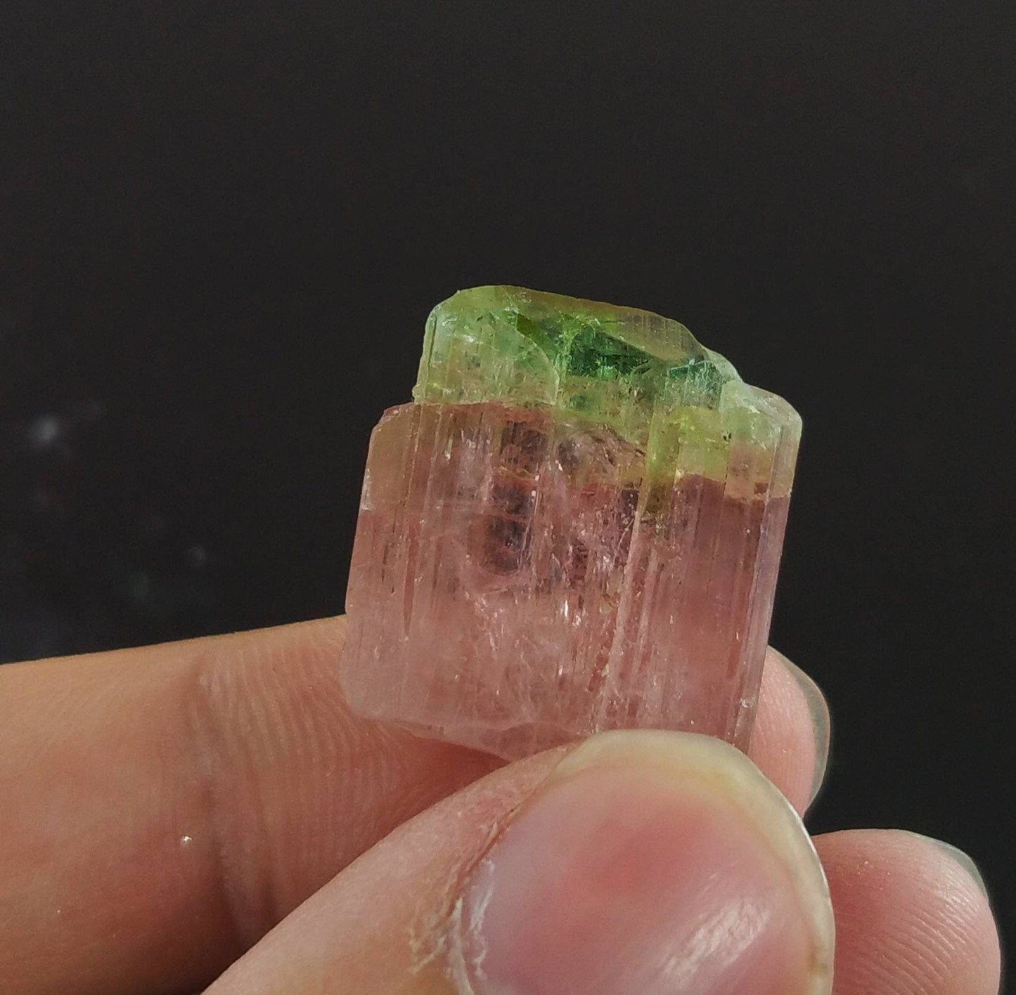 ARSAA GEMS AND MINERALSBicolor watermelon terminated tourmaline crystal 5.5 grams weight from Africa - Premium from ARSAA GEMS AND MINERALS - Just $100.00! Shop now at ARSAA GEMS AND MINERALS