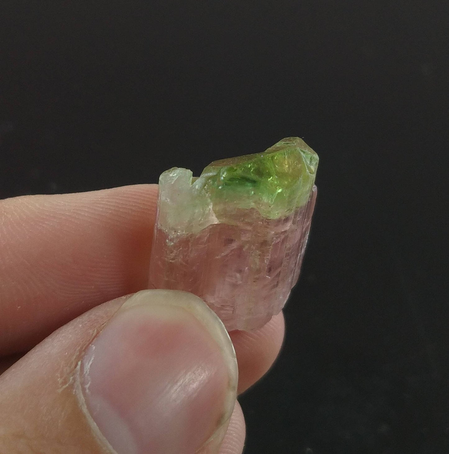 ARSAA GEMS AND MINERALSBicolor watermelon terminated tourmaline crystal 5.5 grams weight from Africa - Premium from ARSAA GEMS AND MINERALS - Just $100.00! Shop now at ARSAA GEMS AND MINERALS