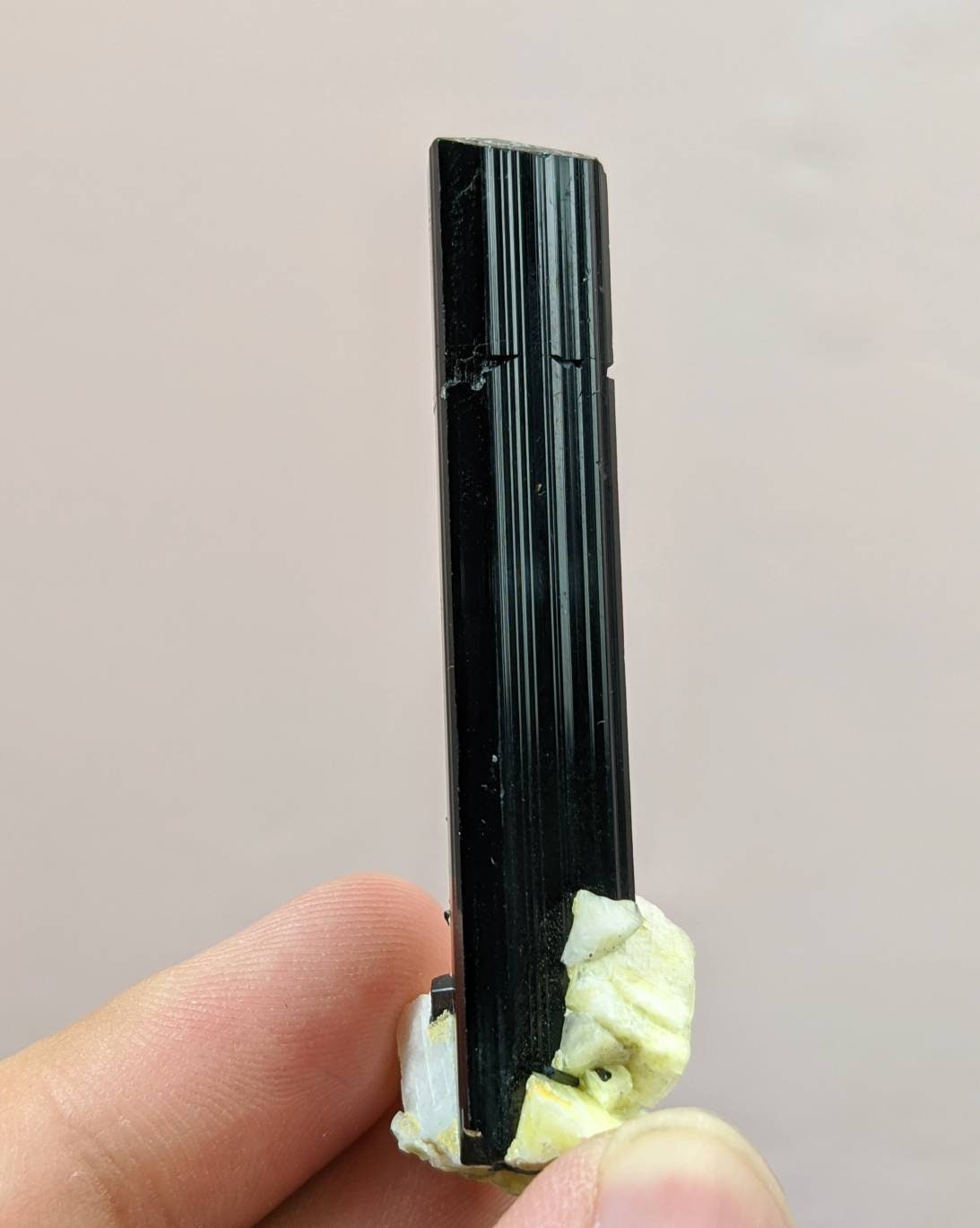 ARSAA GEMS AND MINERALSBlack tourmaline crystal with albite mica terminated 1x repaired from Skardu GilgitBaltistan Pakistan, 17.1 grams - Premium from ARSAA GEMS AND MINERALS - Just $30.00! Shop now at ARSAA GEMS AND MINERALS
