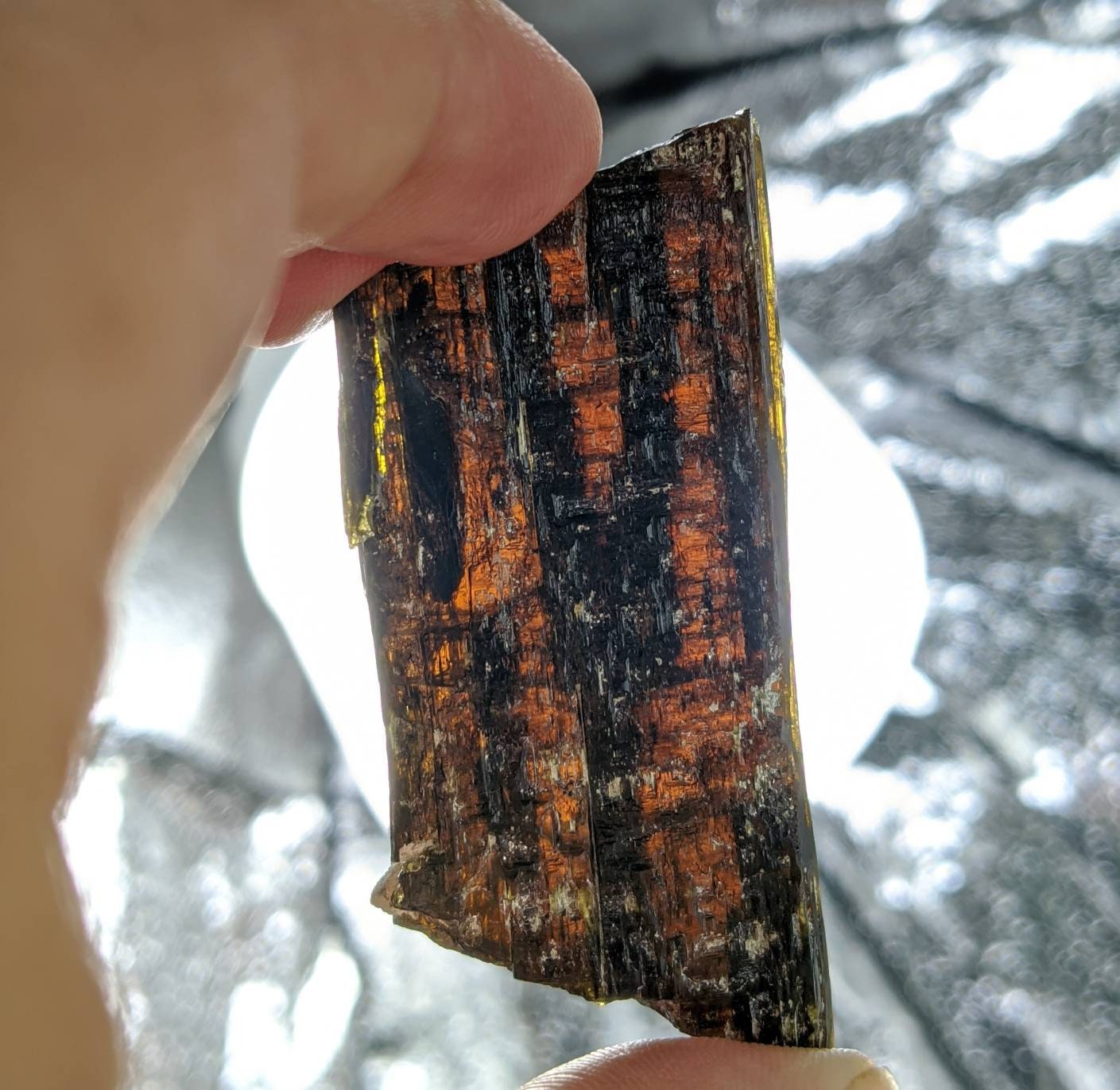 ARSAA GEMS AND MINERALSNatural transparent aesthetic 44.2 grams Beautiful pleochroic dark brown etched epidote crystal from Pakistan - Premium  from ARSAA GEMS AND MINERALS - Just $30.00! Shop now at ARSAA GEMS AND MINERALS