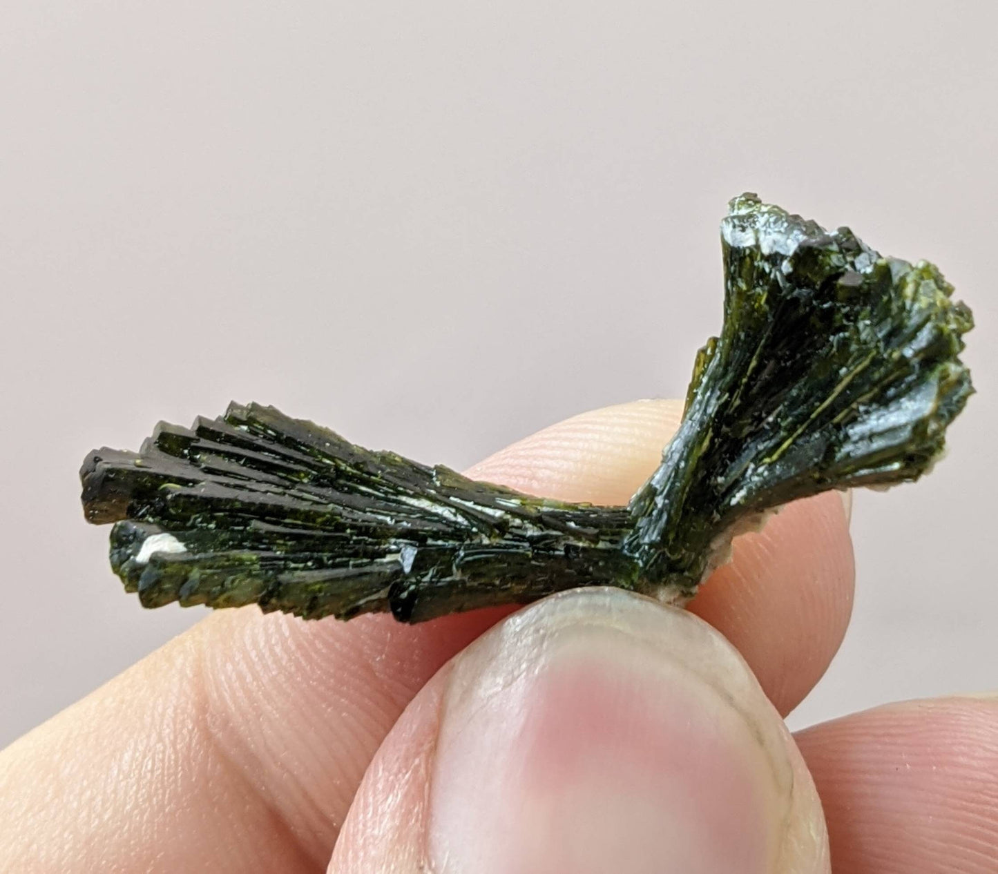 ARSAA GEMS AND MINERALSNatural aesthetic bowtie Epidote terminated crystal from Pakistan, weight: 3 grams - Premium from ARSAA GEMS AND MINERALS - Just $15.00! Shop now at ARSAA GEMS AND MINERALS