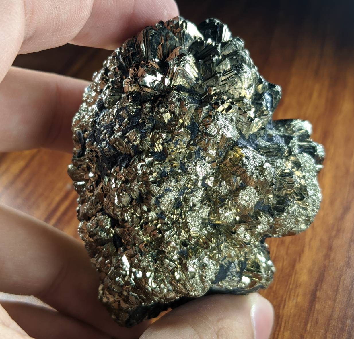 ARSAA GEMS AND MINERALSNatural new find big size Marcasite cluster with geothite also called prophecy stone from a new find in Darra Adam Khel KPK Pakistan - Premium  from ARSAA GEMS AND MINERALS - Just $65.00! Shop now at ARSAA GEMS AND MINERALS