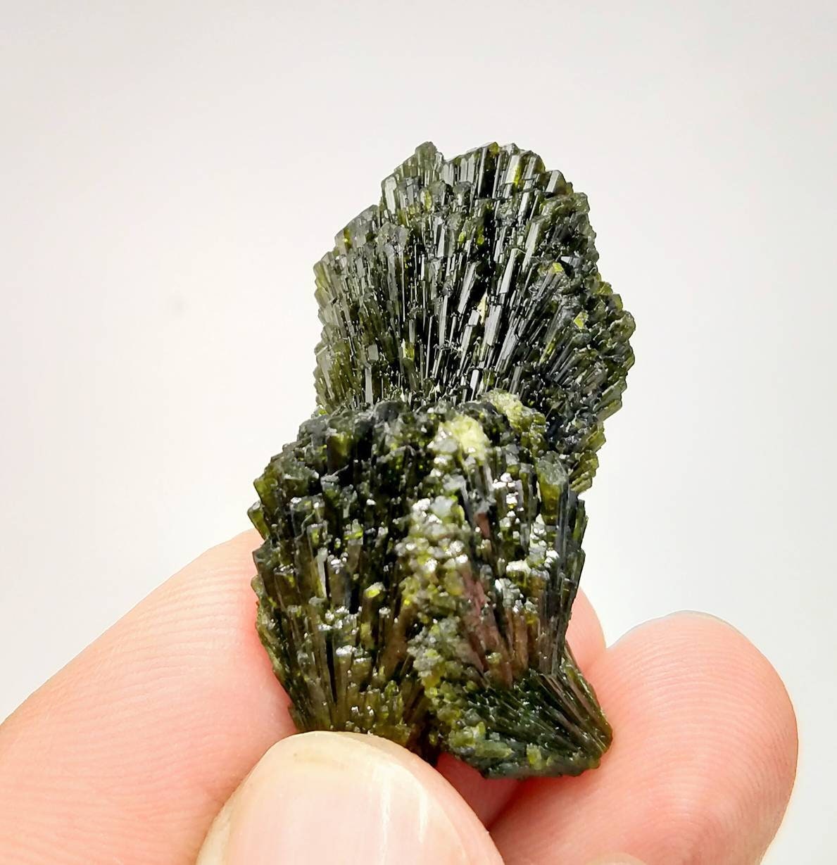 ARSAA GEMS AND MINERALSGrreen spray epidote crystal from Balochistan Pakistan, weight 14.1 grams - Premium  from ARSAA GEMS AND MINERALS - Just $25.00! Shop now at ARSAA GEMS AND MINERALS