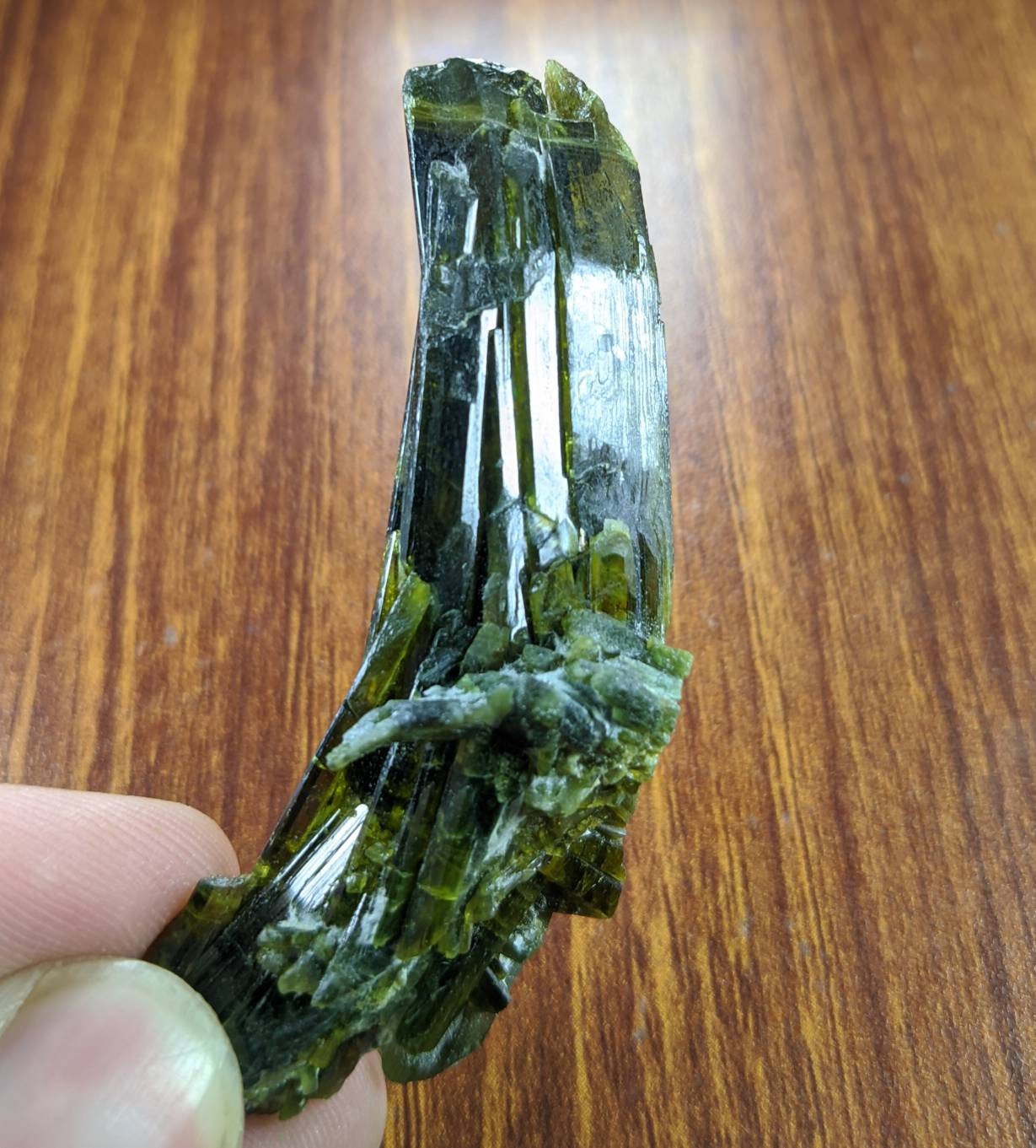 ARSAA GEMS AND MINERALSNatural clear aesthetic 23 gram Beautiful translucent pleochroic bended epidote crystal from KP Pakistan - Premium from ARSAA GEMS AND MINERALS - Just $35.00! Shop now at ARSAA GEMS AND MINERALS