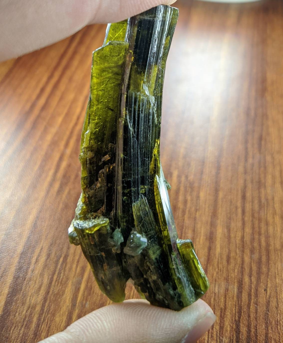 ARSAA GEMS AND MINERALSNatural clear aesthetic 23 gram Beautiful translucent pleochroic bended epidote crystal from KP Pakistan - Premium from ARSAA GEMS AND MINERALS - Just $35.00! Shop now at ARSAA GEMS AND MINERALS