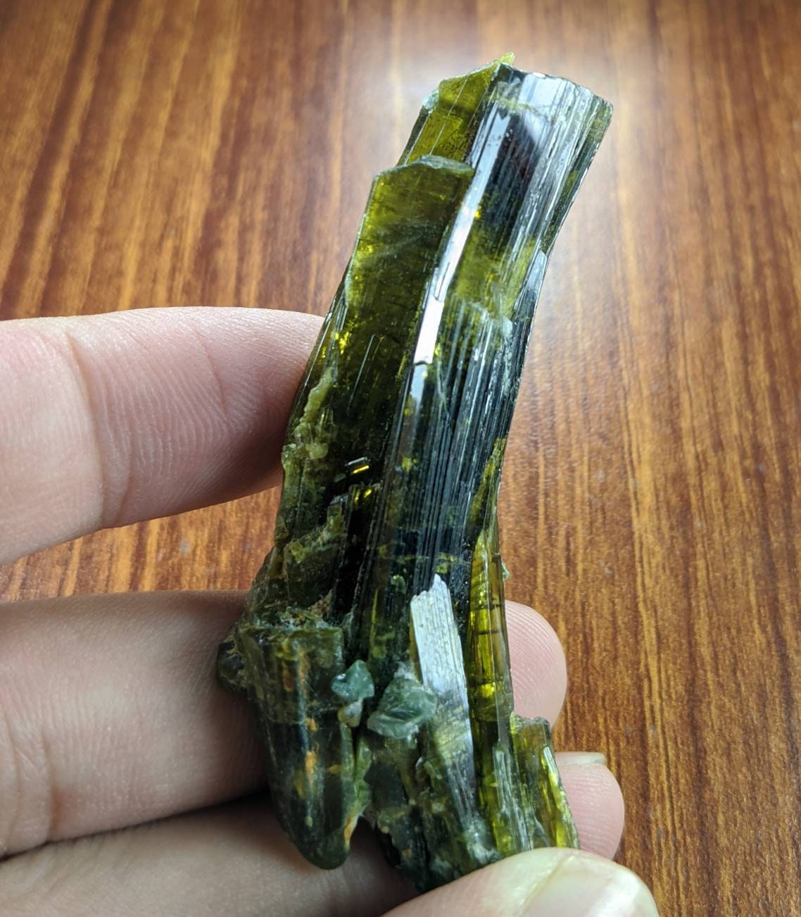 ARSAA GEMS AND MINERALSNatural clear aesthetic 23 gram Beautiful translucent pleochroic bended epidote crystal from KP Pakistan - Premium from ARSAA GEMS AND MINERALS - Just $35.00! Shop now at ARSAA GEMS AND MINERALS