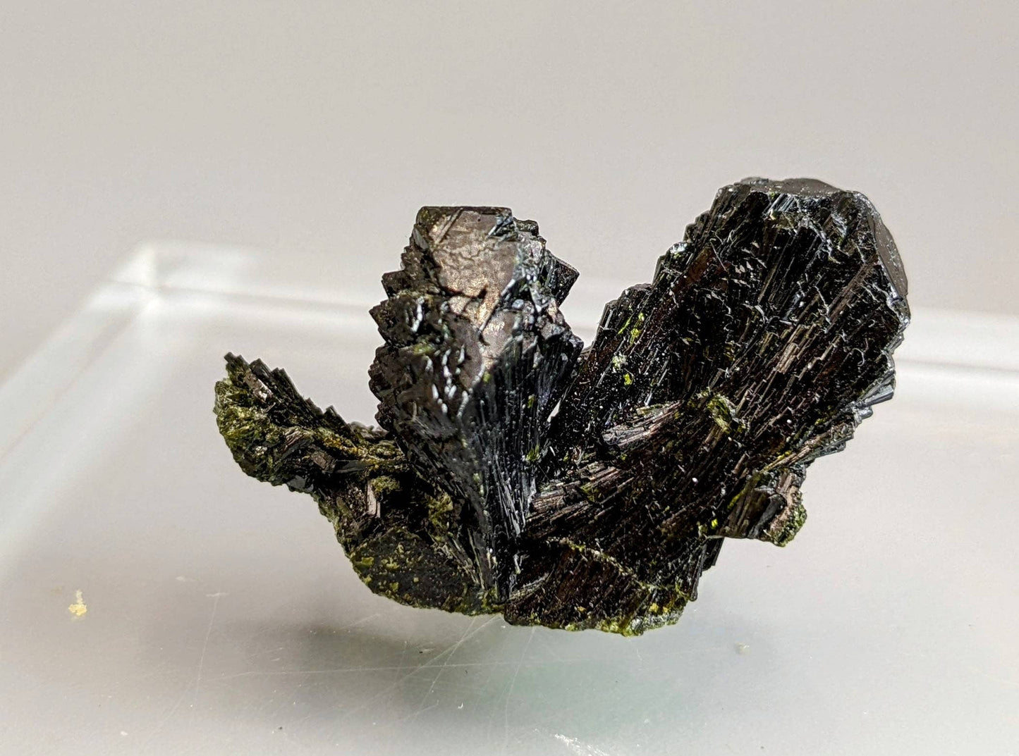 ARSAA GEMS AND MINERALSNatural green spray bowtie epidote crystal from Balochistan Pakistan, weight 9.8 grams - Premium  from ARSAA GEMS AND MINERALS - Just $35.00! Shop now at ARSAA GEMS AND MINERALS