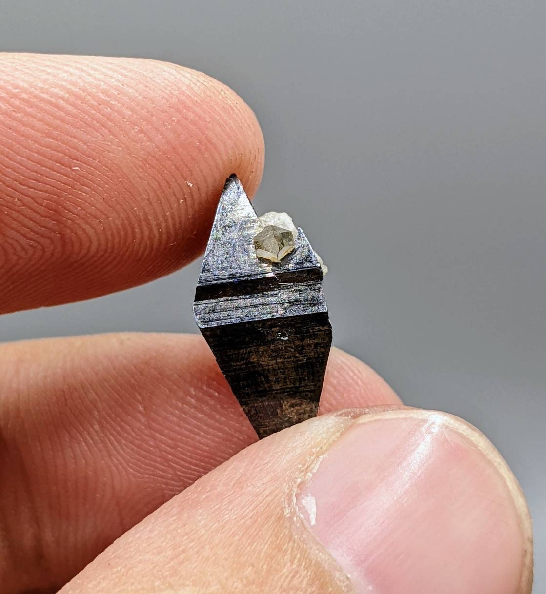 ARSAA GEMS AND MINERALSRare single big blue on top edge anatas crystal partially terminated with quartz from Balochistan Pakistan , weight 2.1 gram - Premium from ARSAA GEMS AND MINERALS - Just $65.00! Shop now at ARSAA GEMS AND MINERALS
