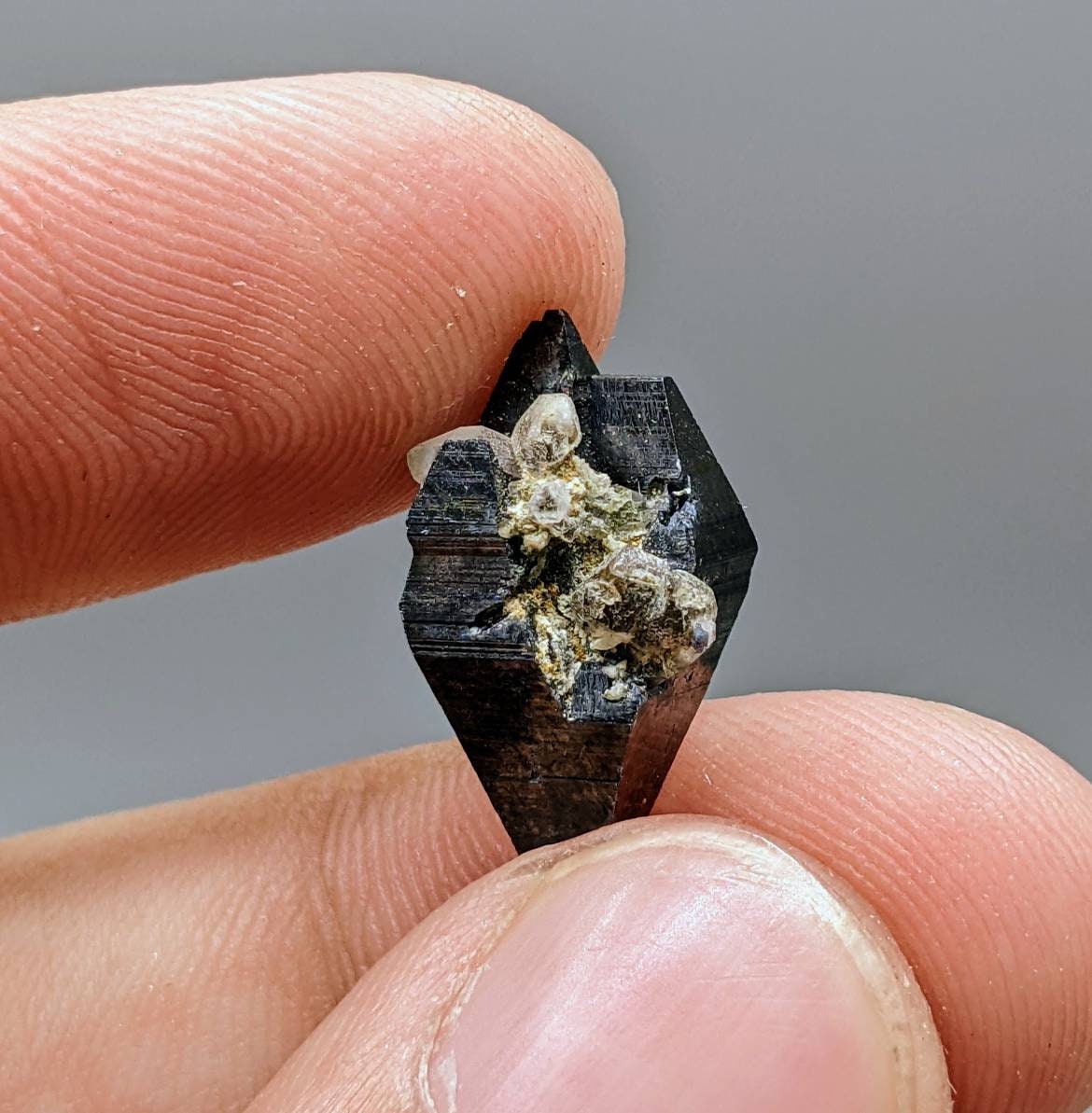 ARSAA GEMS AND MINERALSRare single big blue on top edge anatas crystal partially terminated with quartz from Balochistan Pakistan , weight 2.1 gram - Premium from ARSAA GEMS AND MINERALS - Just $65.00! Shop now at ARSAA GEMS AND MINERALS