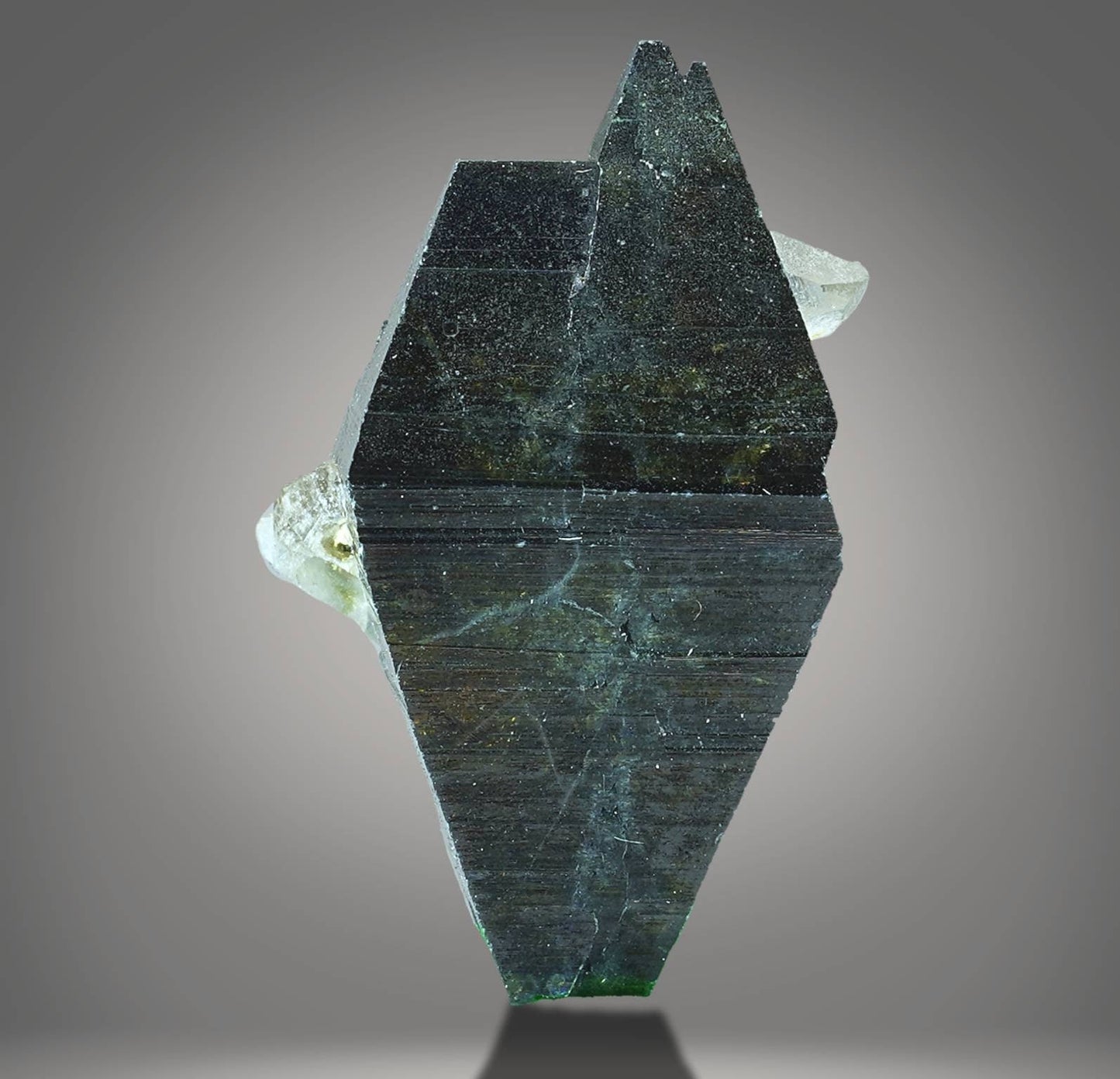 ARSAA GEMS AND MINERALSRare single big blue on top edge anatas crystal partially terminated with quartz from Balochistan Pakistan , weight 2.1 gram - Premium from ARSAA GEMS AND MINERALS - Just $65.00! Shop now at ARSAA GEMS AND MINERALS