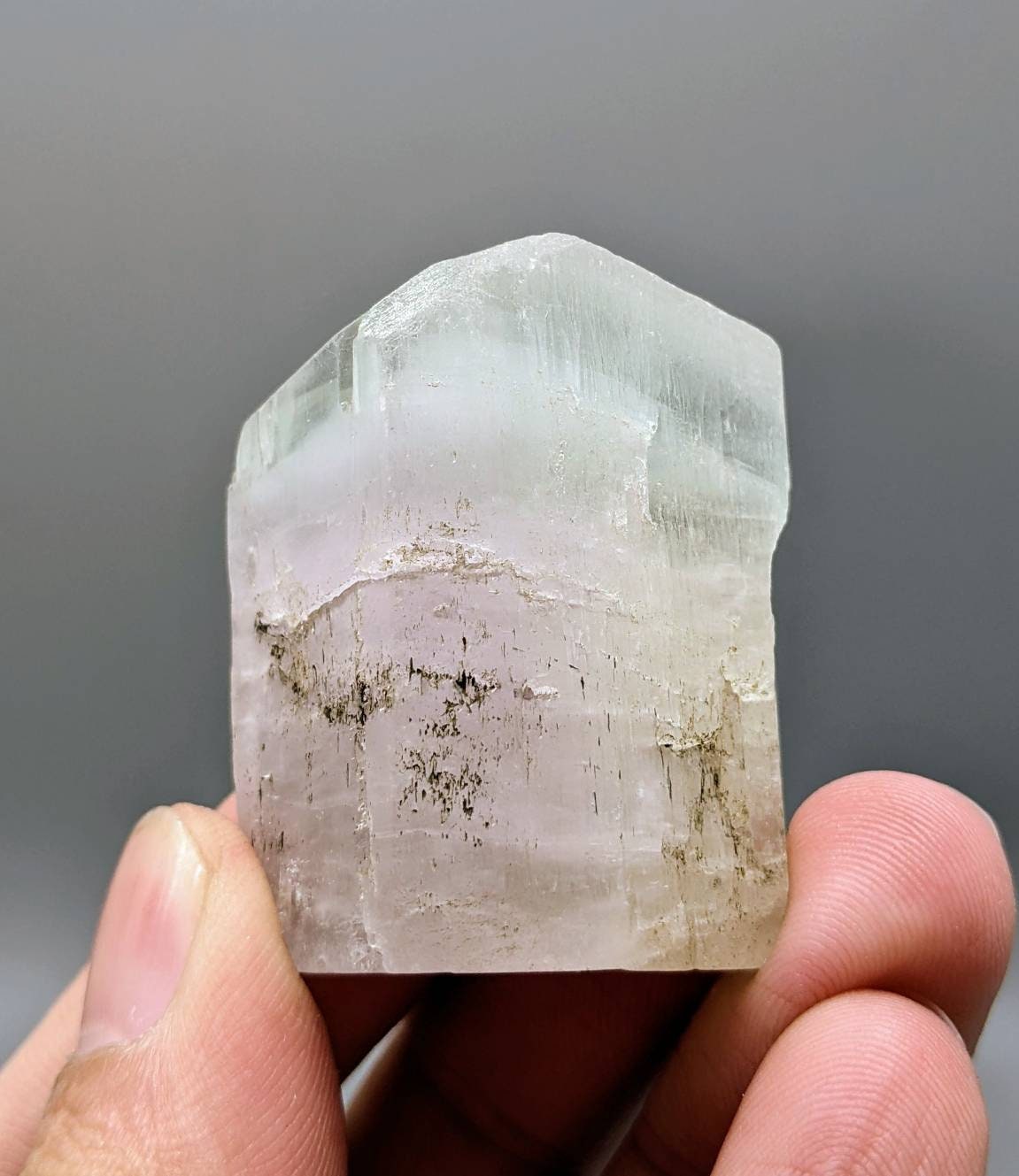 ARSAA GEMS AND MINERALSBicolor Spodumene var kunzite crystal from Laghman, Afghanistan, 59.4 grams - Premium from ARSAA GEMS AND MINERALS - Just $100.00! Shop now at ARSAA GEMS AND MINERALS