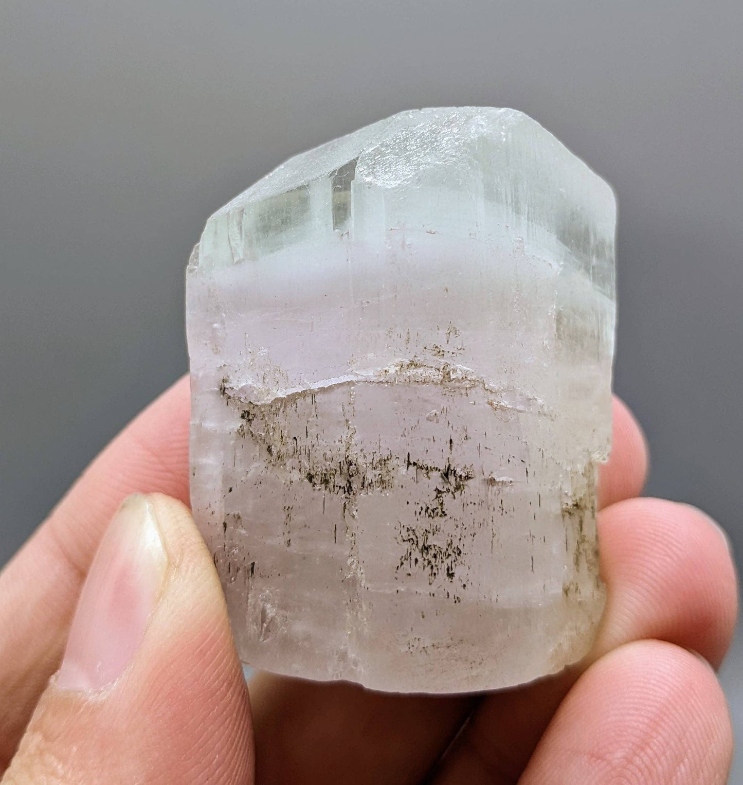 ARSAA GEMS AND MINERALSBicolor Spodumene var kunzite crystal from Laghman, Afghanistan, 59.4 grams - Premium from ARSAA GEMS AND MINERALS - Just $100.00! Shop now at ARSAA GEMS AND MINERALS