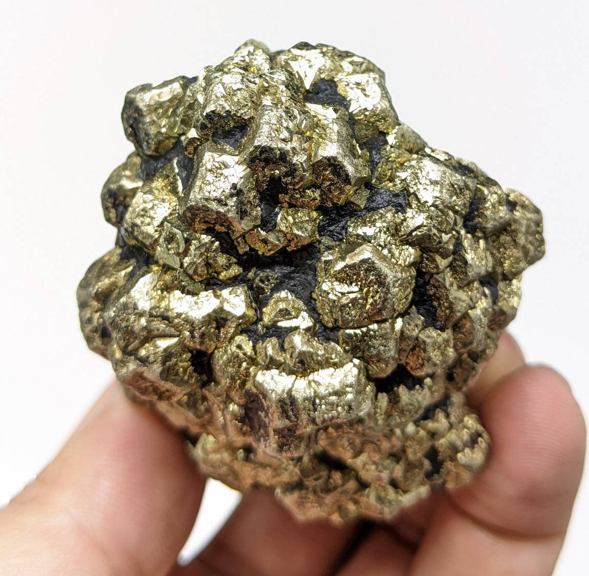 ARSAA GEMS AND MINERALSNew find big size golden Marcasite sphere shape cluster also called prophecy stone from a new find in Darra Adam Khel KPK Pakistan, 255 gram - Premium  from ARSAA GEMS AND MINERALS - Just $70.00! Shop now at ARSAA GEMS AND MINERALS