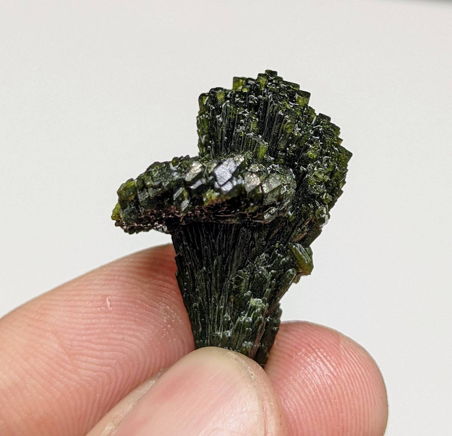 ARSAA GEMS AND MINERALSNatural green spray epidote crystal from Balochistan Pakistan, weight 7.1 grams - Premium  from ARSAA GEMS AND MINERALS - Just $20.00! Shop now at ARSAA GEMS AND MINERALS