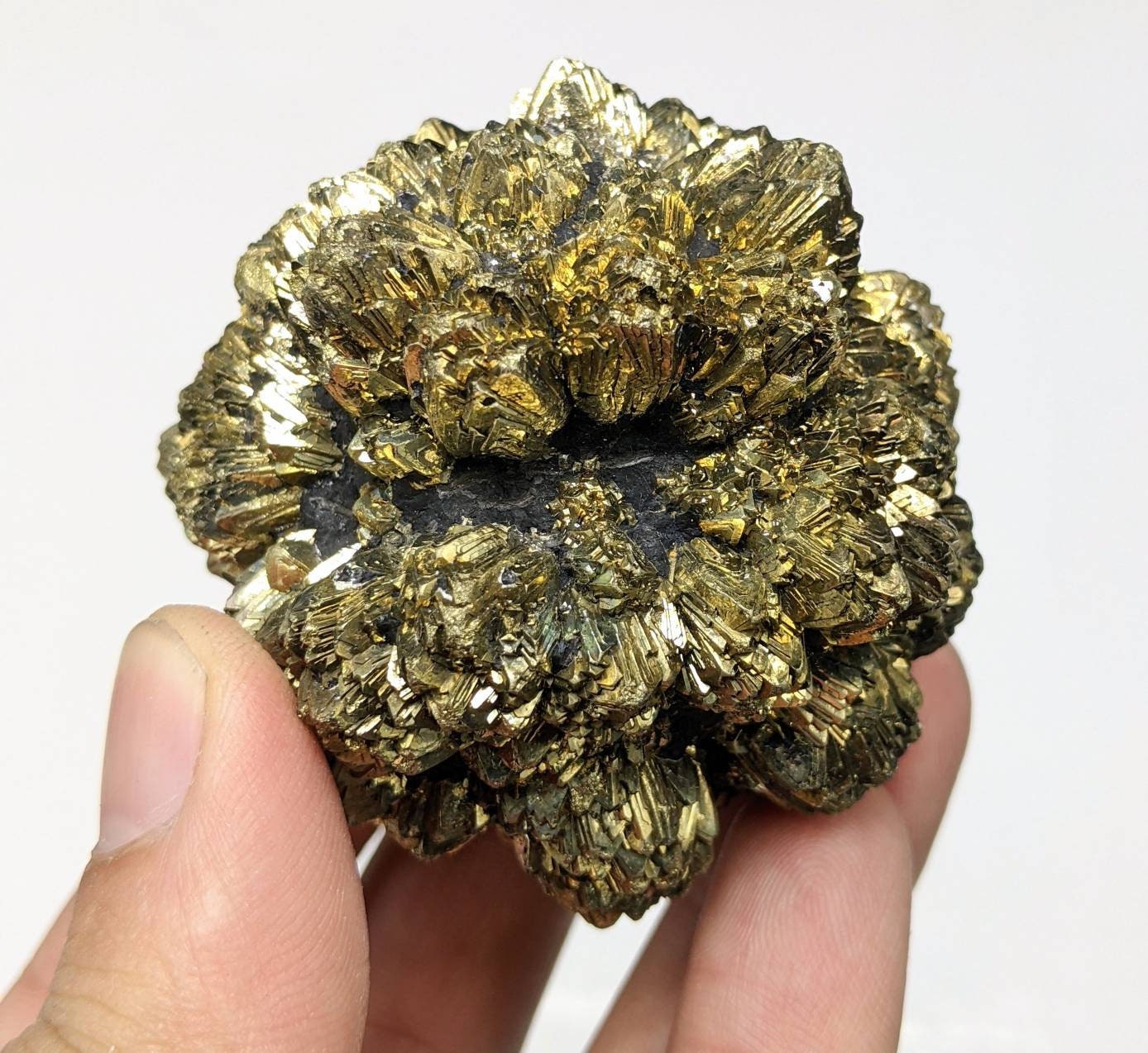 ARSAA GEMS AND MINERALSNew find big size golden Marcasite sphere shape cluster also called prophecy stone from a new find in Darra Adam Khel KPK Pakistan, 315 gram - Premium from ARSAA GEMS AND MINERALS - Just $150.00! Shop now at ARSAA GEMS AND MINERALS