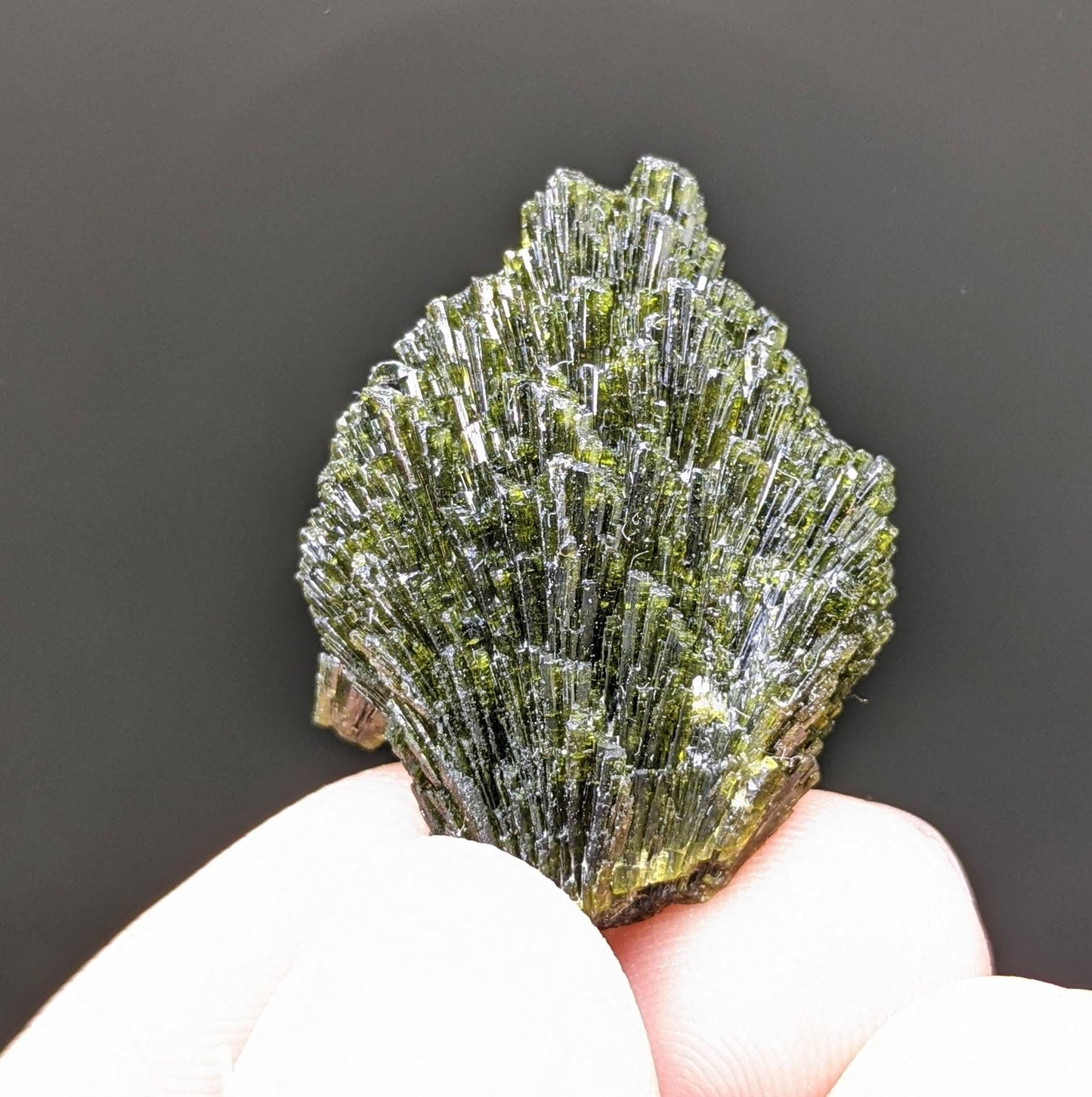 ARSAA GEMS AND MINERALSGrreen spray epidote crystal from Balochistan Pakistan, weight 9.1 grams - Premium from ARSAA GEMS AND MINERALS - Just $25.00! Shop now at ARSAA GEMS AND MINERALS