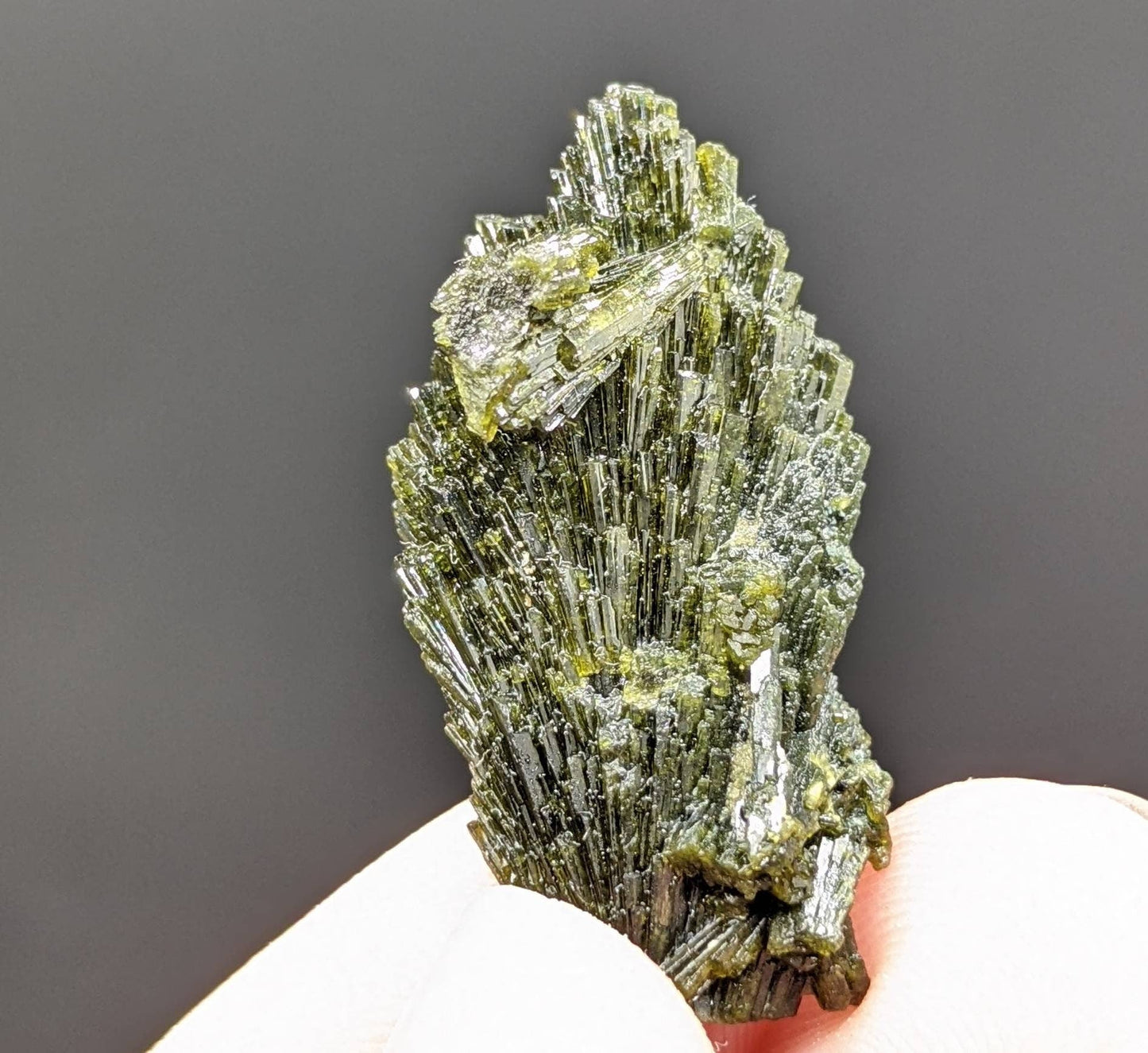 ARSAA GEMS AND MINERALSNatural green spray epidote crystal from Balochistan Pakistan, weight 7 grams - Premium  from ARSAA GEMS AND MINERALS - Just $20.00! Shop now at ARSAA GEMS AND MINERALS