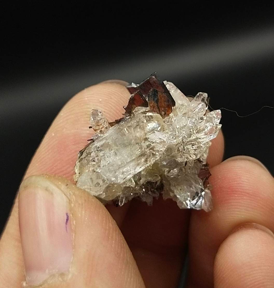 ARSAA GEMS AND MINERALSExtremely rare Red Brookite cluster on matrix on clear quartz cluster from Baluchistan Pakistan, 3.7 grams - Premium from ARSAA GEMS AND MINERALS - Just $40.00! Shop now at ARSAA GEMS AND MINERALS