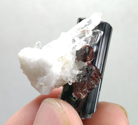 Black Tourmaline Crystal with Spessartine Garnet & Quartz - Pakistan