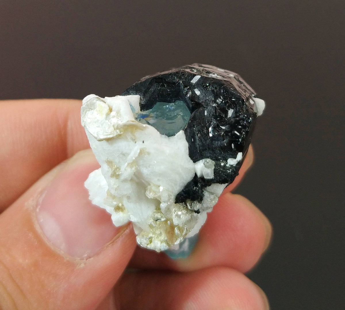 Aquamarine Crystal with Albite and Black Tourmaline, Pakistan