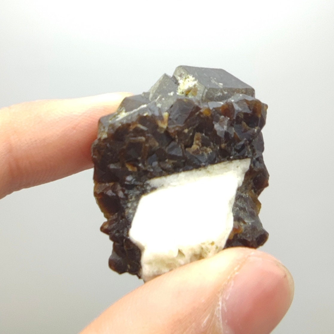 Natural Dark brown Andradite garnet cluster, Well formed crystal, 40 grams