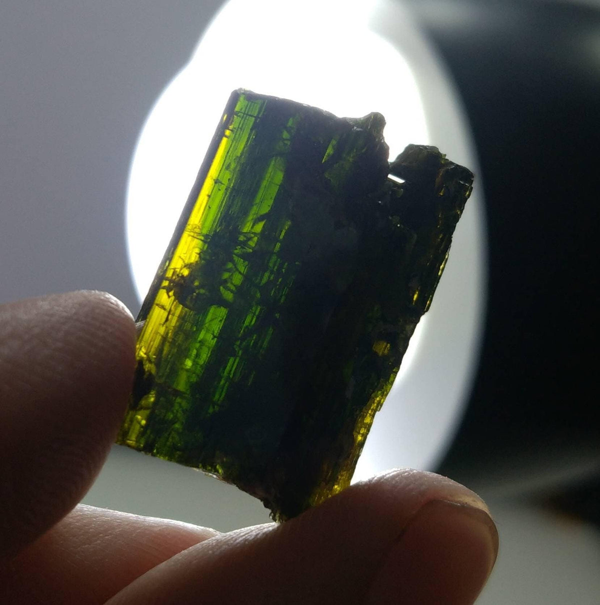 Etched Pleochroic Epidote Crystal, Gandao Hill, Pakistan (7 gram)