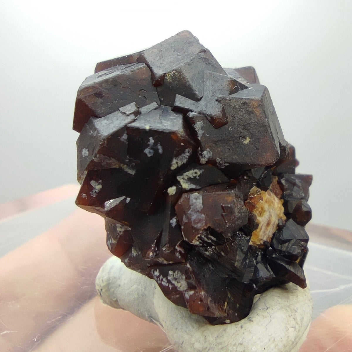 Natural Dark brown Andradite garnet cluster, Well formed crystal, 17 grams