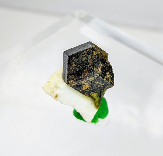 On matrix andradite garnet with green epidote crystals from Pakistan, 5.4 grams