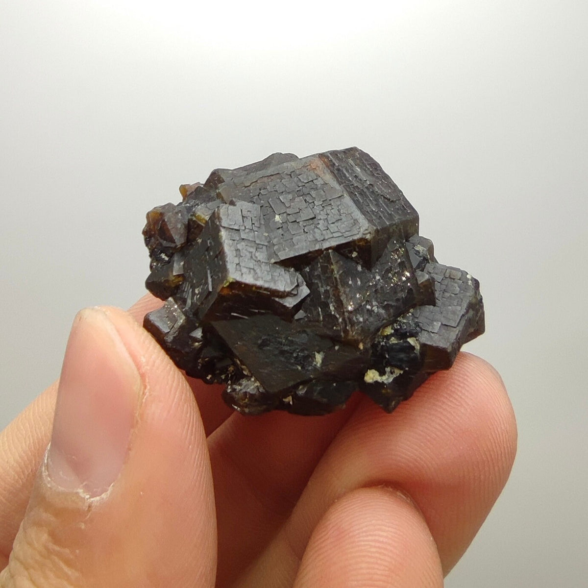 Natural Dark brown Andradite garnet cluster, Well formed crystal, 28.8 grams
