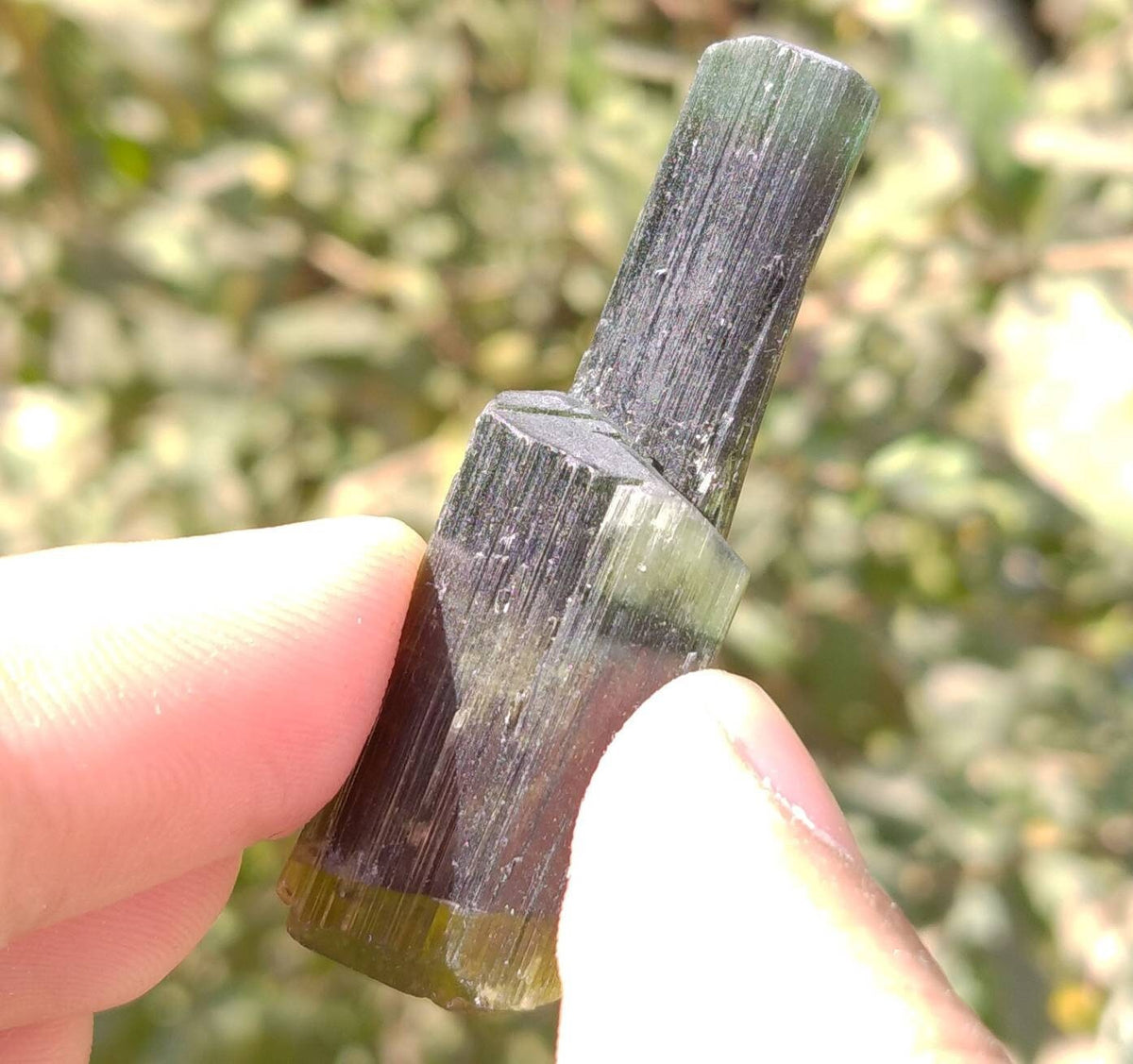 Double Terminated Green Tourmaline Crystal, Pakistan - 14 grams