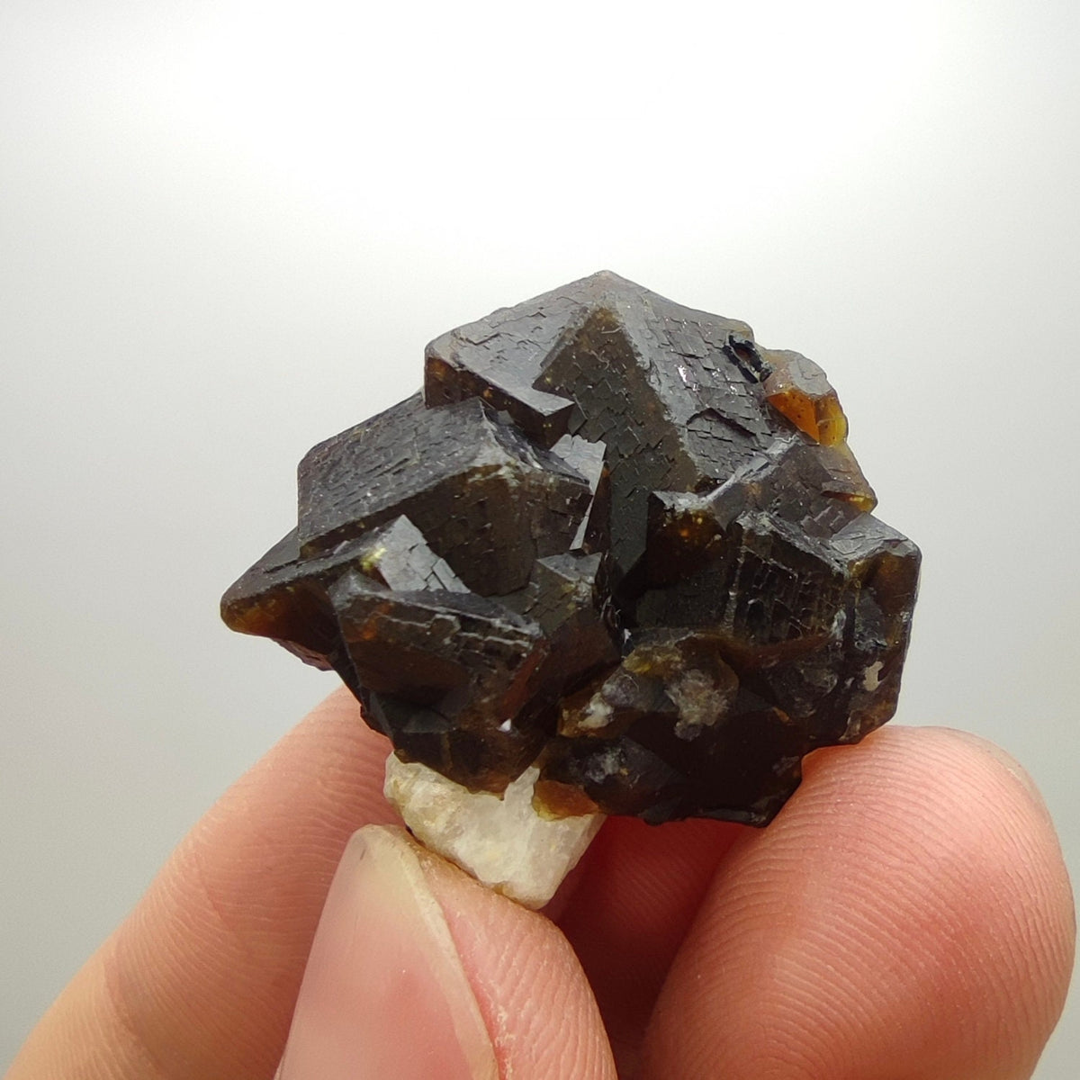 Natural Dark brown Andradite garnet cluster, Well formed crystal, 16.6 grams