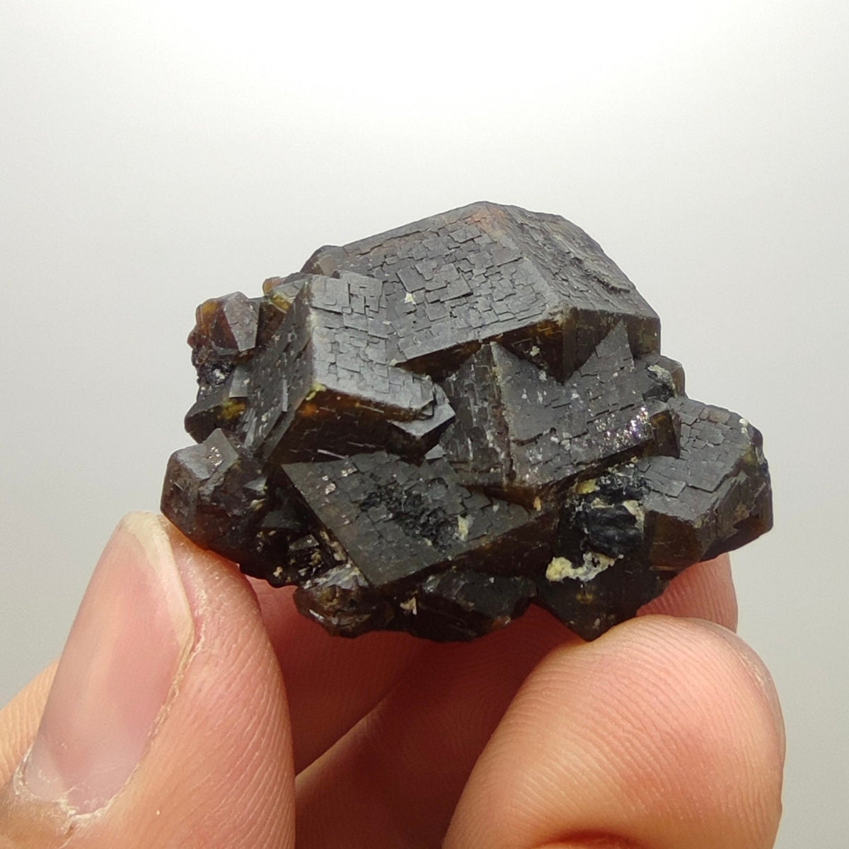 Natural Dark brown Andradite garnet cluster, Well formed crystal, 28.8 grams