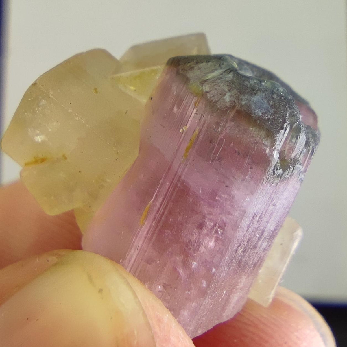 Bicolor tourmaline with pale Calcite |Rare Combination Tourmaline with calcite |Elbaite with calcite | Pink Tourmaline Crystal from Afghanis