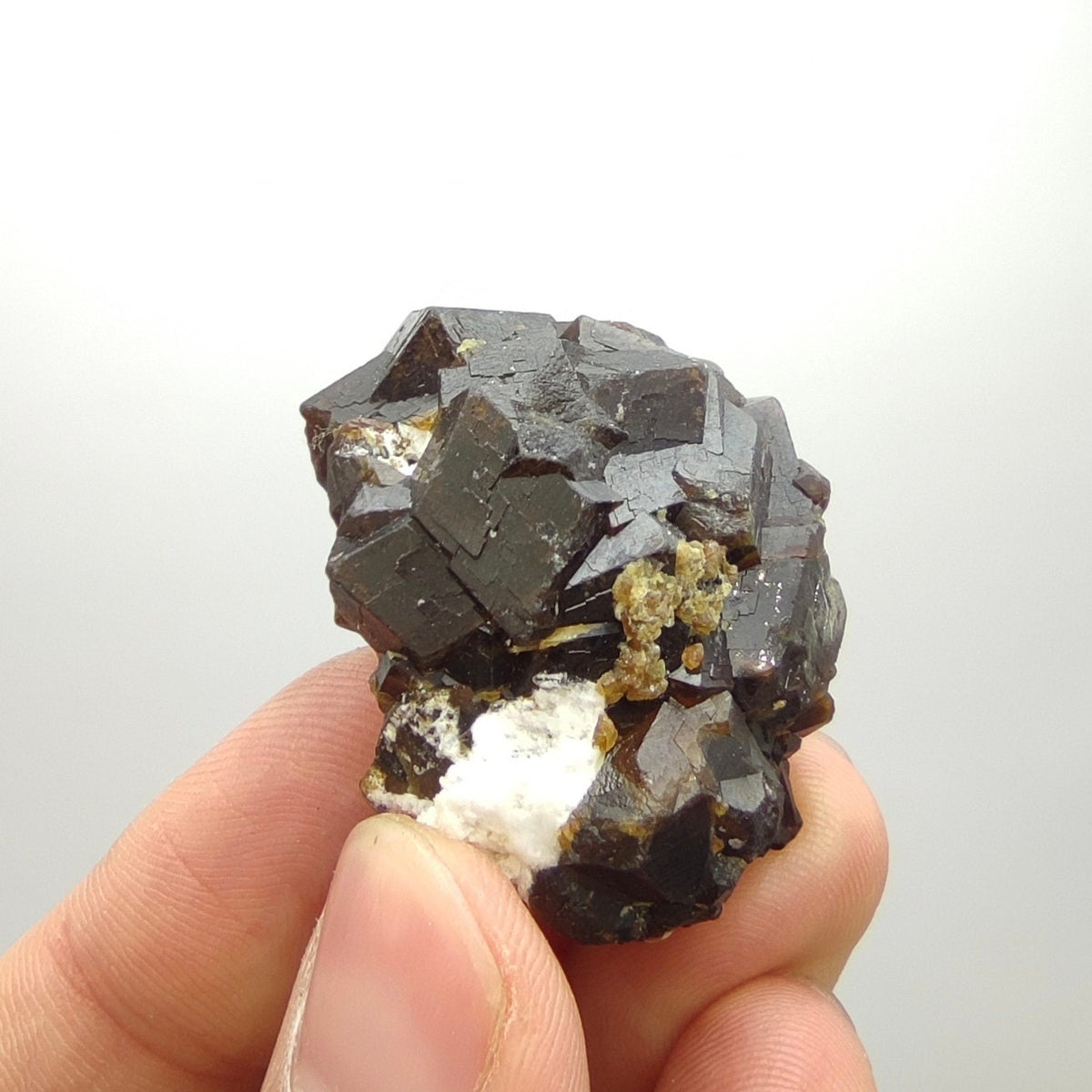 Natural Dark brown Andradite garnet cluster, Well formed crystal, 40 grams