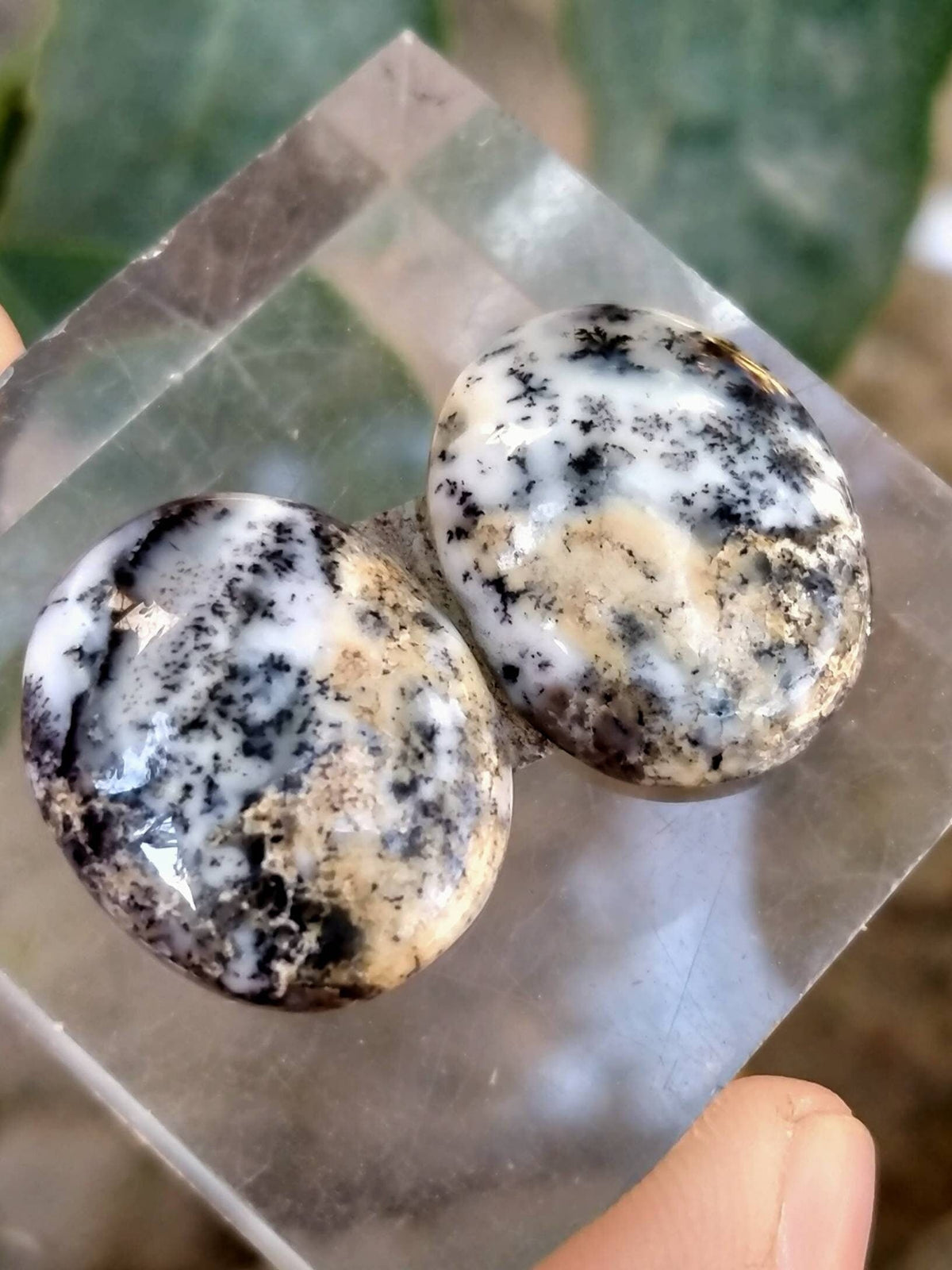 Dendritic Opal Cabochon Pair, Natural Gemstone (22x17mm)