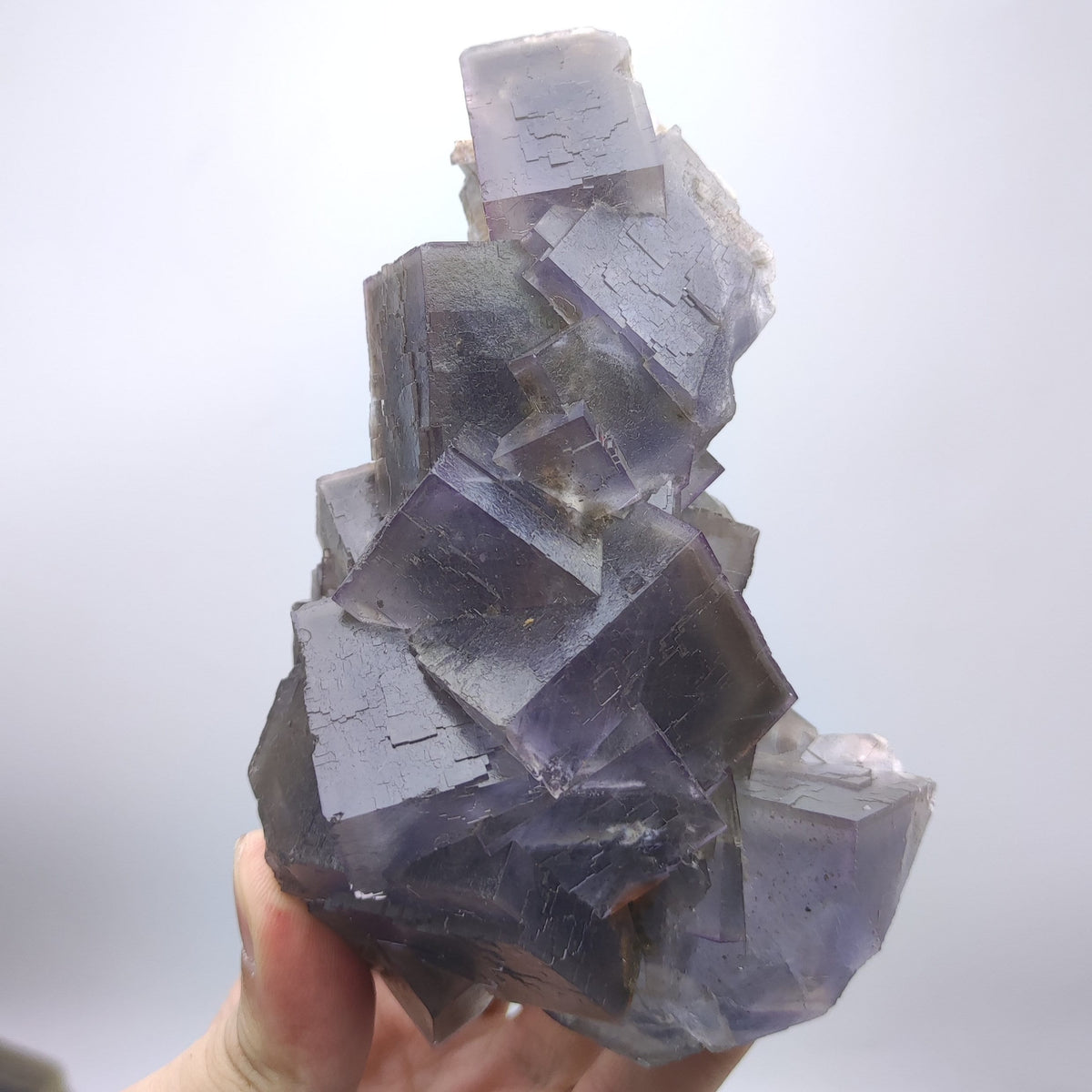 Purple Blue Phantom Fluorite Crystal, Baluchistan Pakistan (747g)