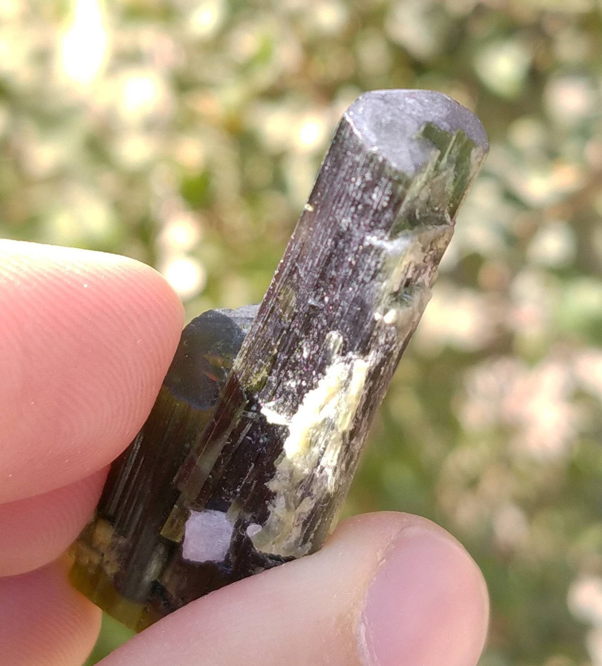 Double Terminated Green Tourmaline Crystal, Pakistan - 14 grams