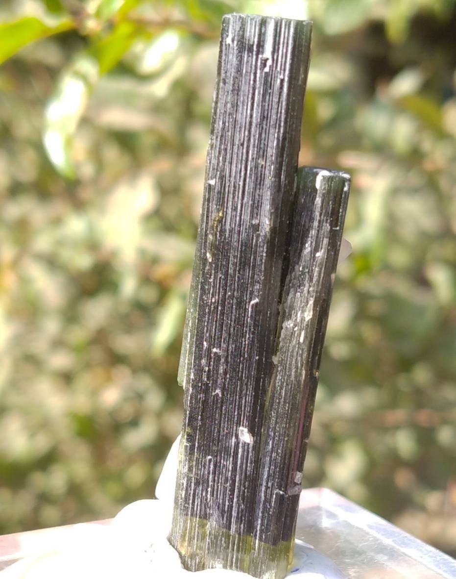 Green Cap Tourmaline Crystal Twins, Pakistan Mineral Specimen