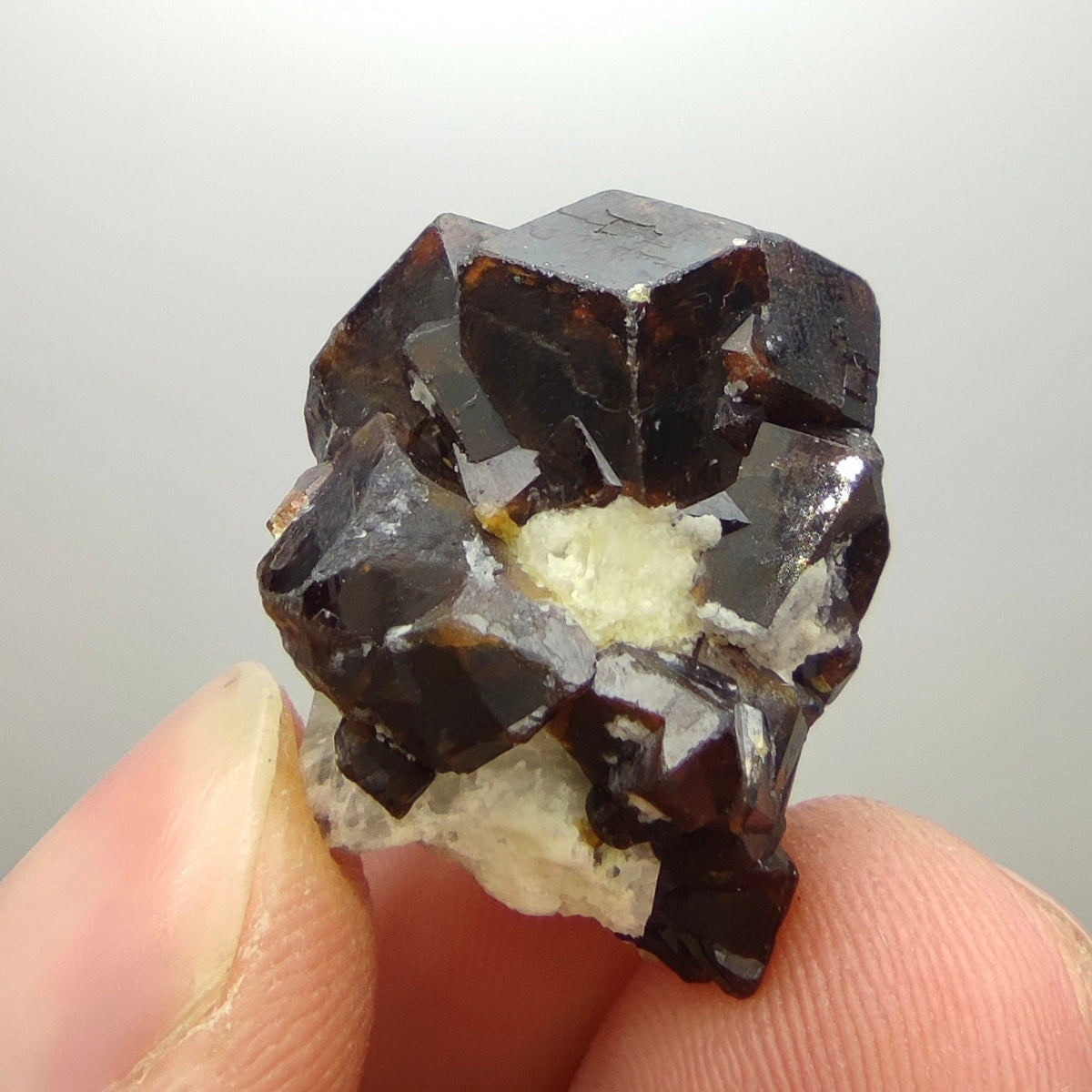 Natural Dark brown Andradite garnet cluster, Well formed crystal, 13.5 grams